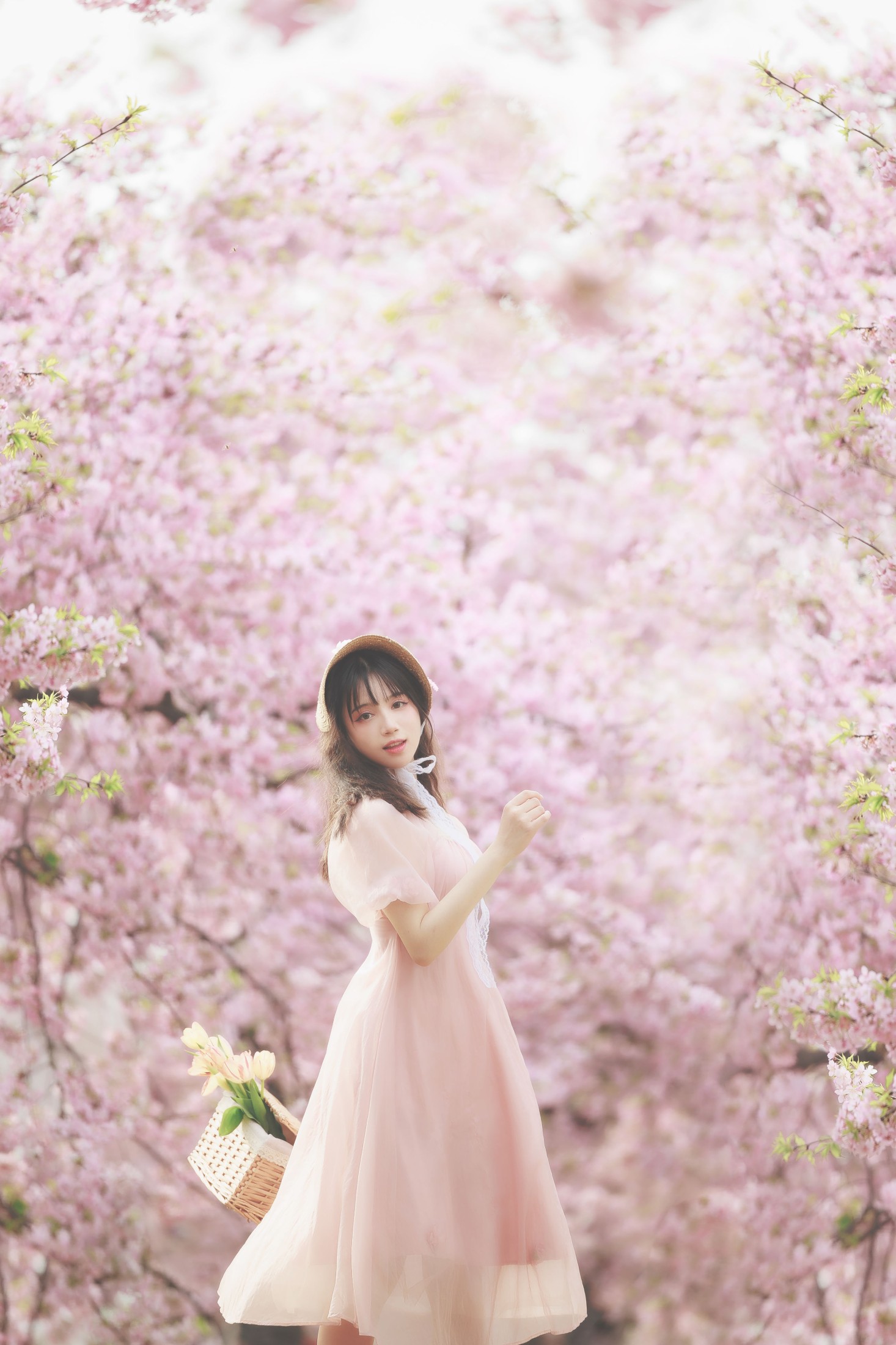 贰加六 – 《樱之浪漫》[24P] 插图5