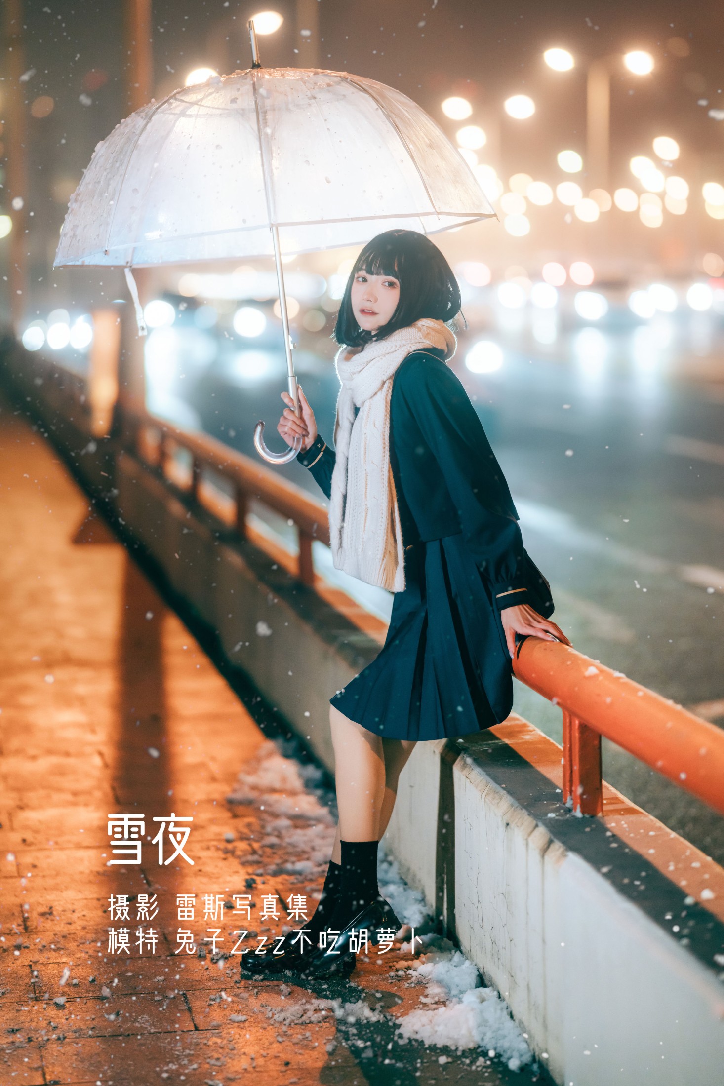 兔子Zzz不吃胡萝卜 – 《雪夜》[23P]-66COS