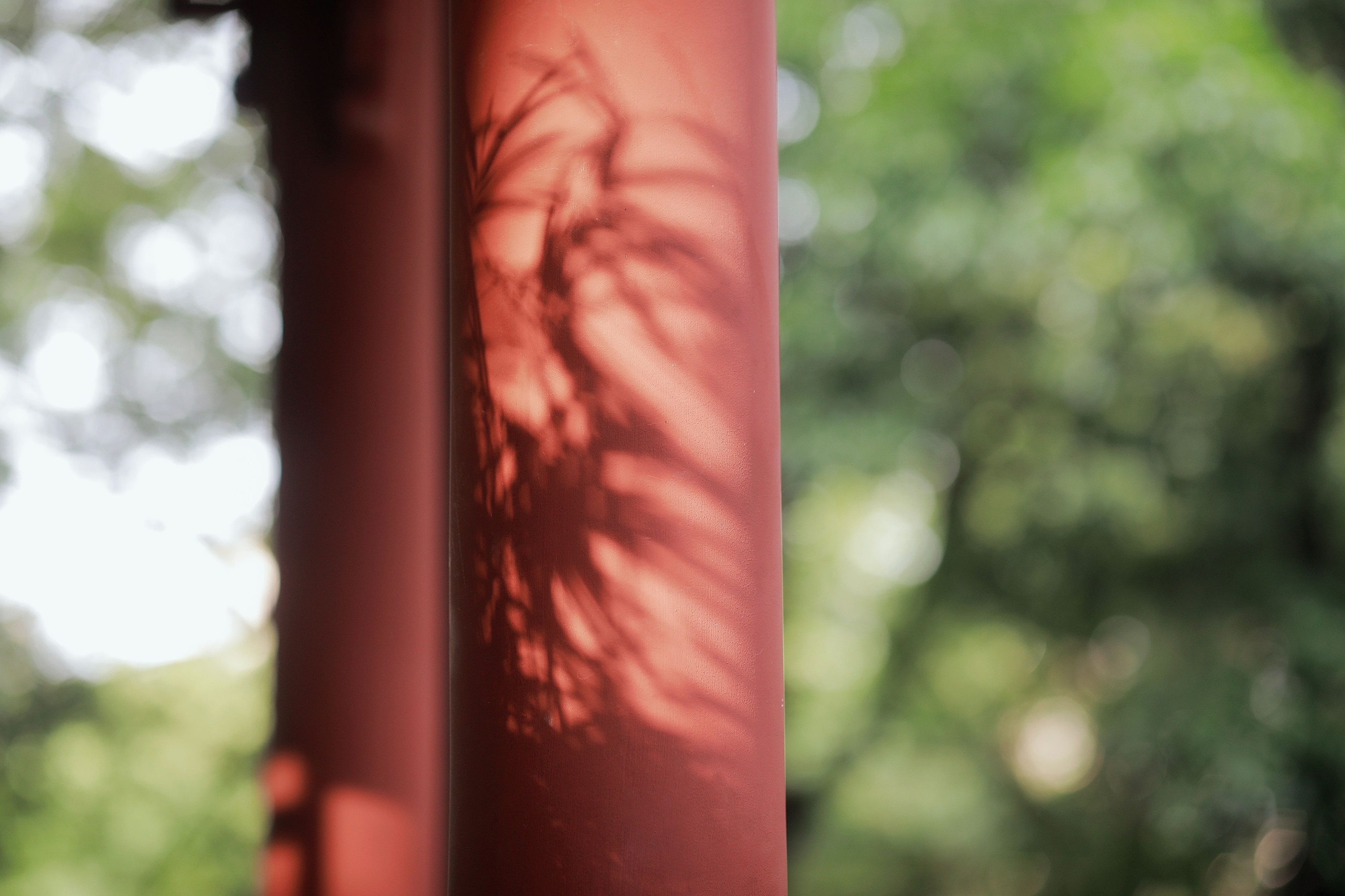 嘉仪 – 《山居煎茶》[22P] 插图5