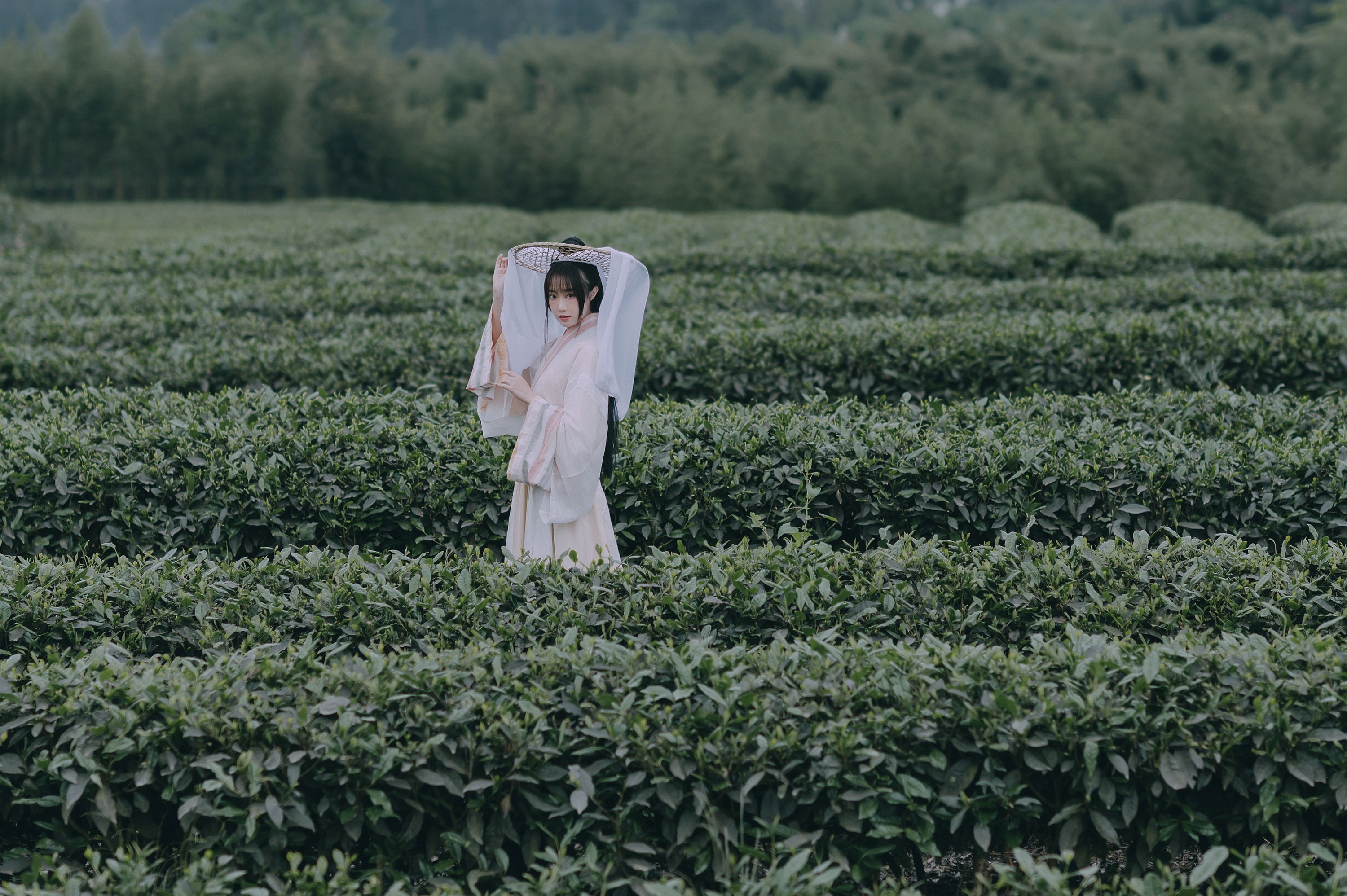 蹭饭 – 《采茶东篱下》[20P] 插图3