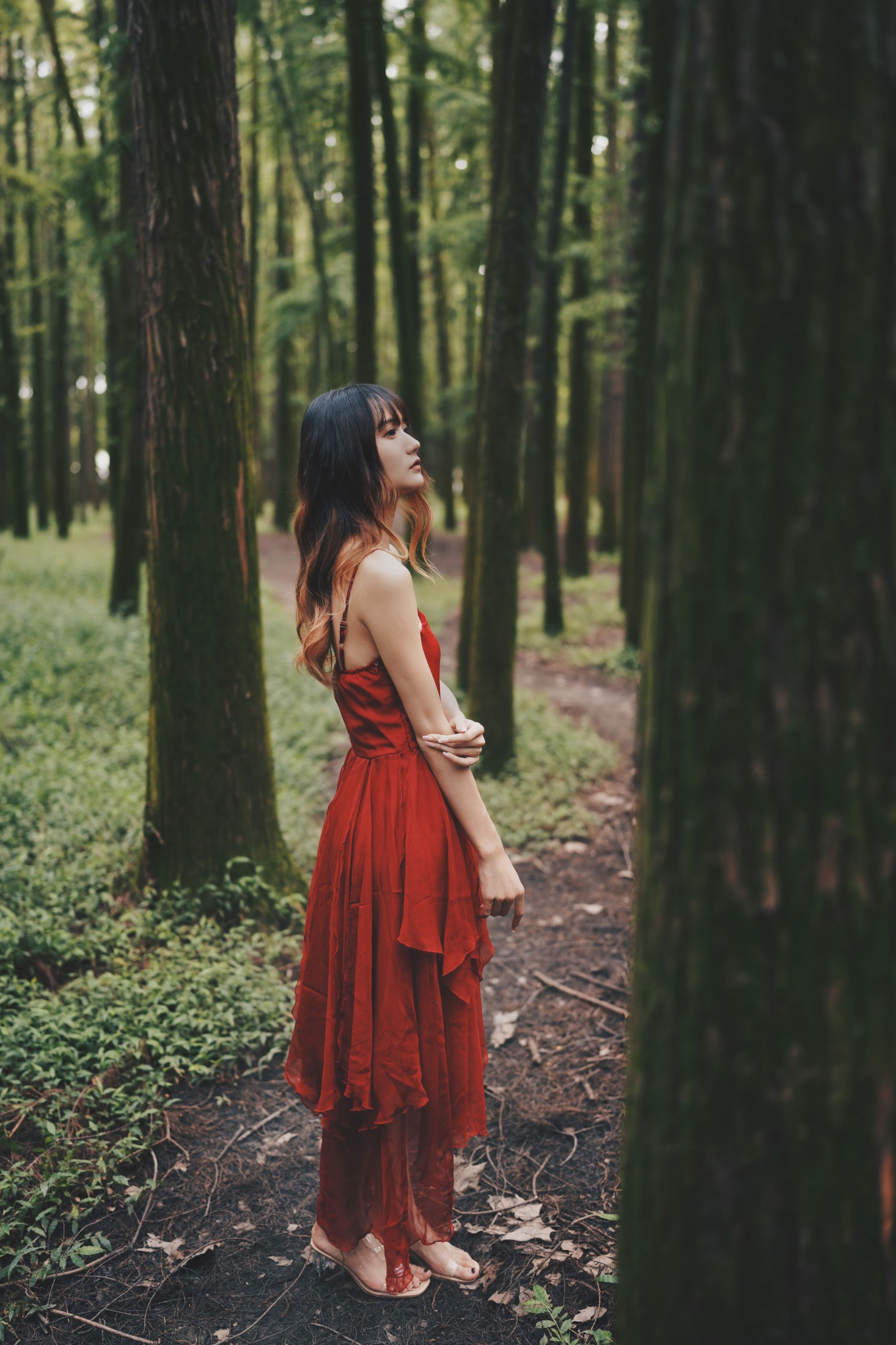 兔子Zzz不吃胡萝卜 – 《闯入迷雾森林》[26P] 插图3