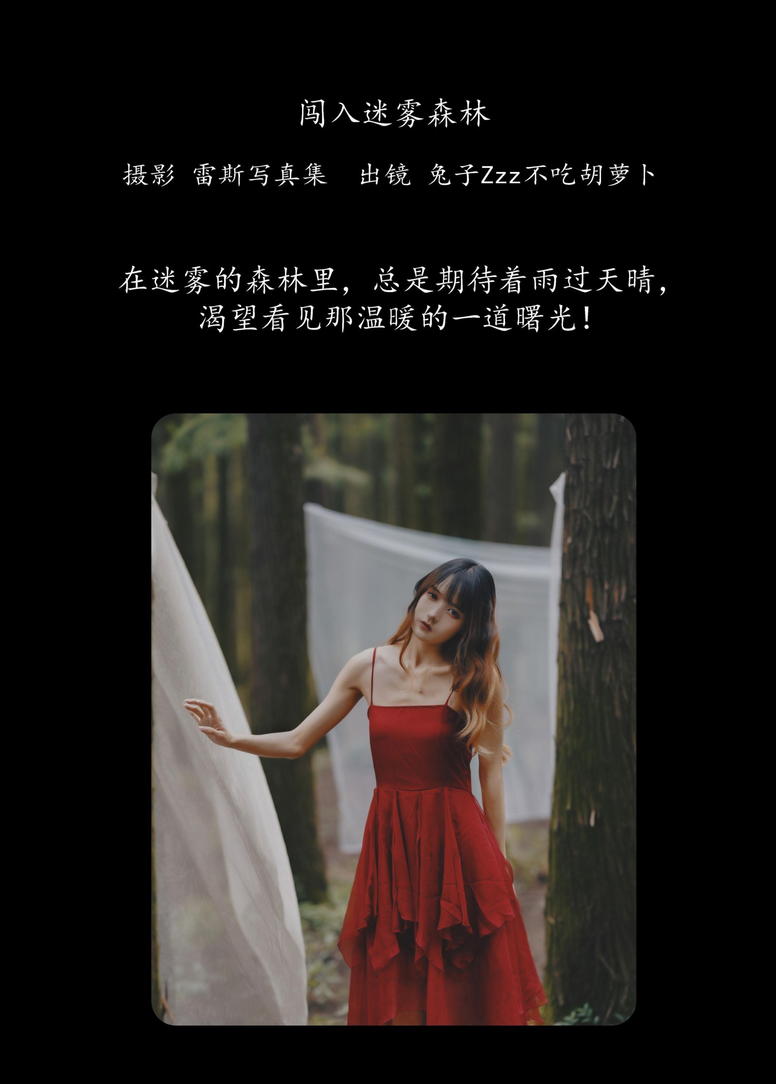 兔子Zzz不吃胡萝卜 – 《闯入迷雾森林》[26P] 插图2