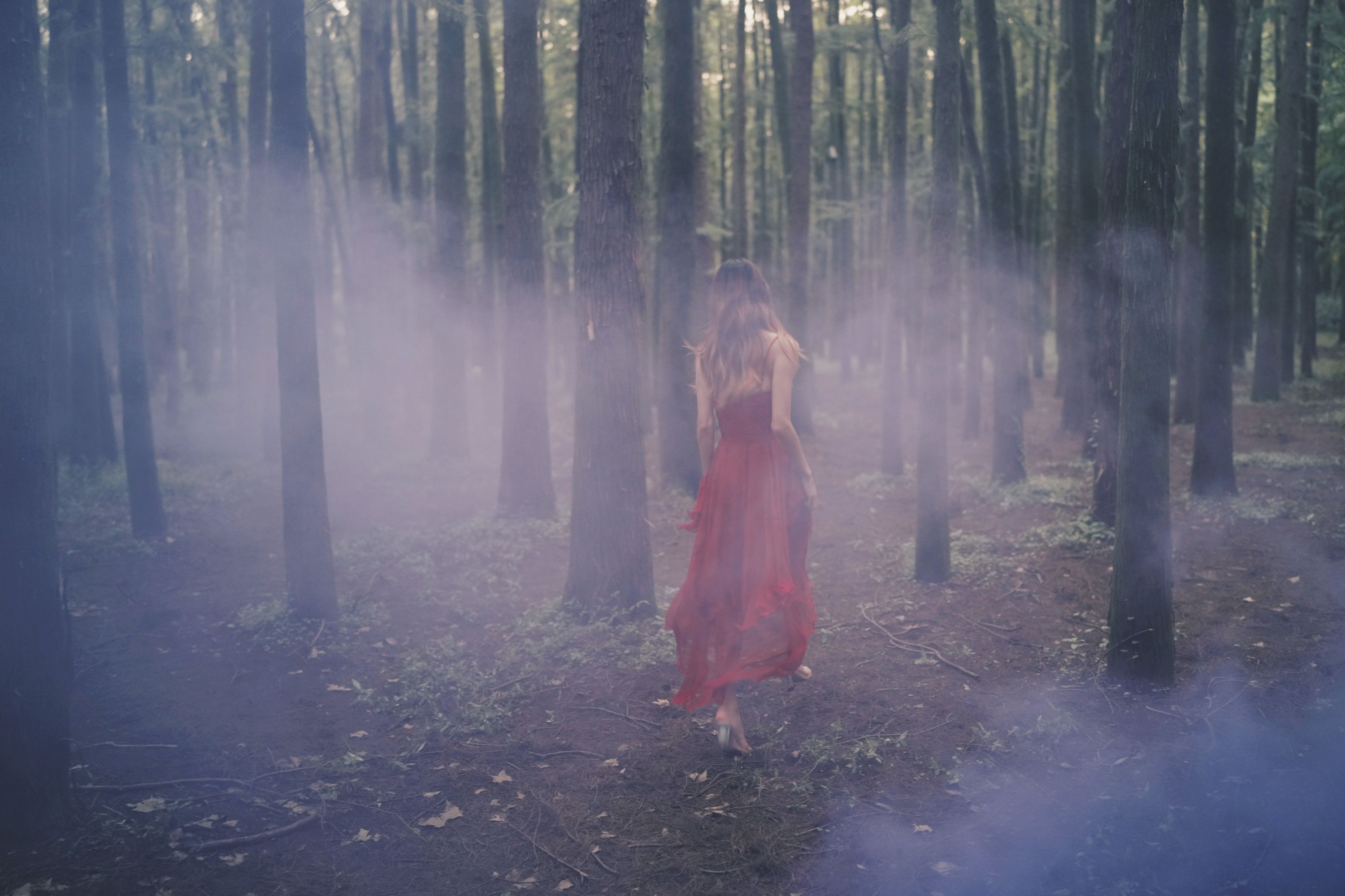 兔子Zzz不吃胡萝卜 – 《闯入迷雾森林》[26P] 插图4