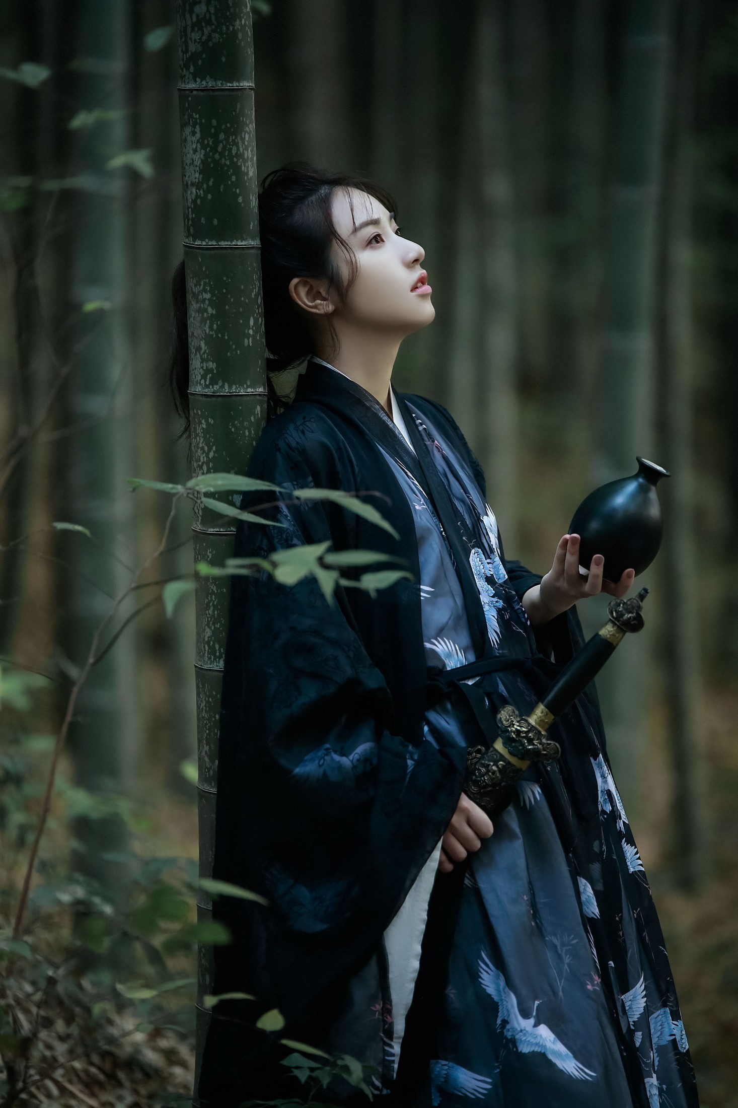 苏苏 – 《逍遥游》[22P] 插图5