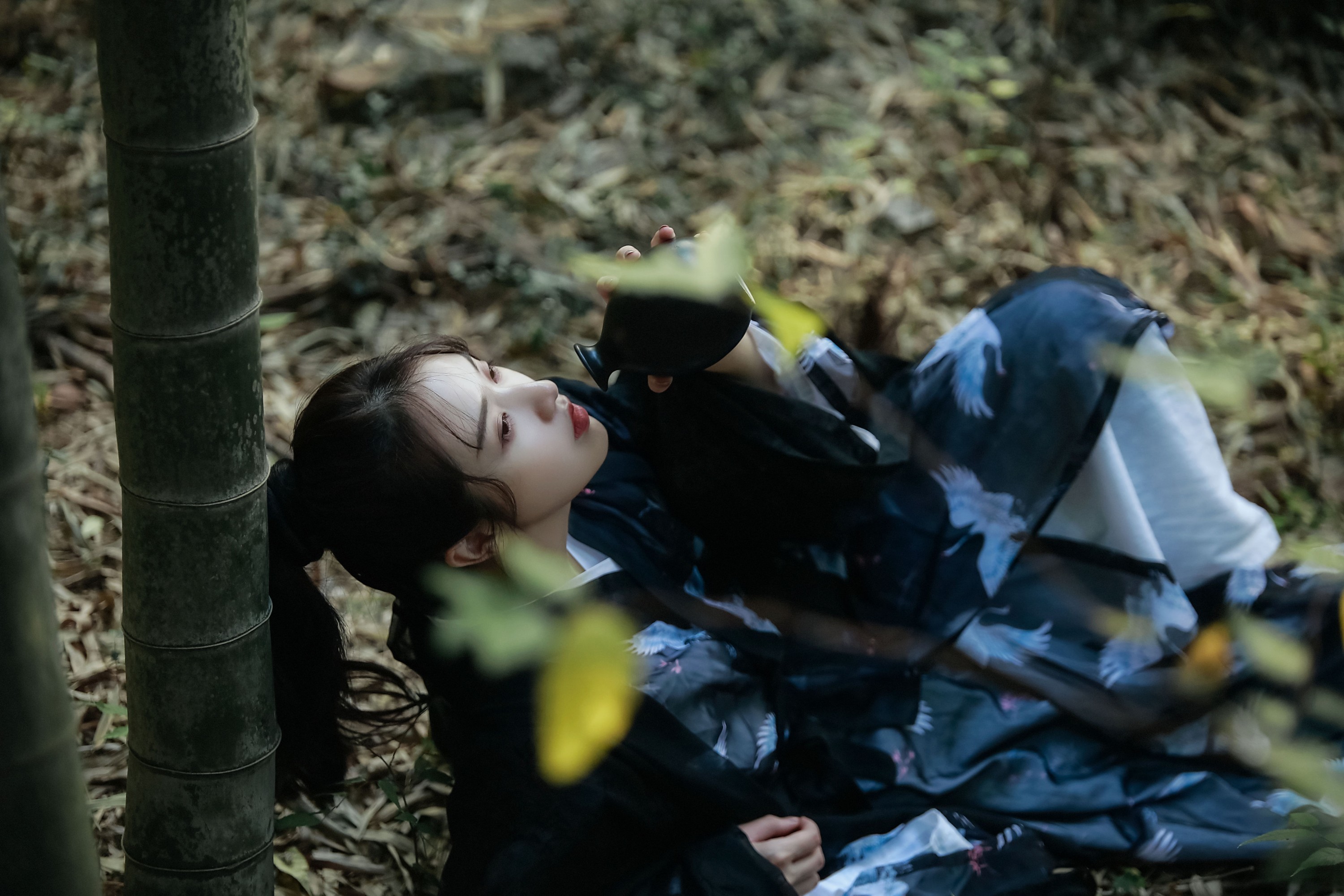 苏苏 – 《逍遥游》[22P] 插图4