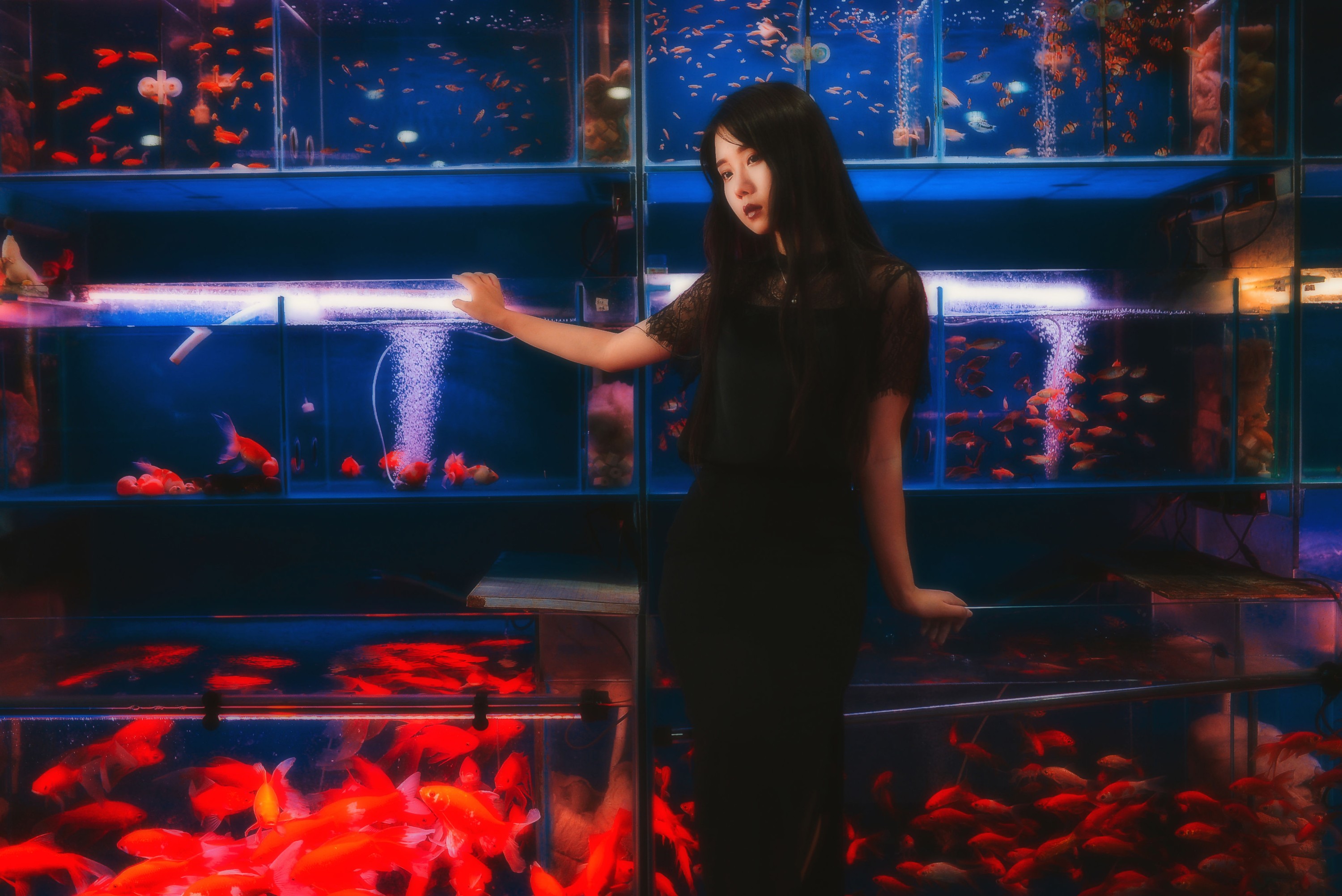 紫卿 – 《鱼》[21P] 插图4