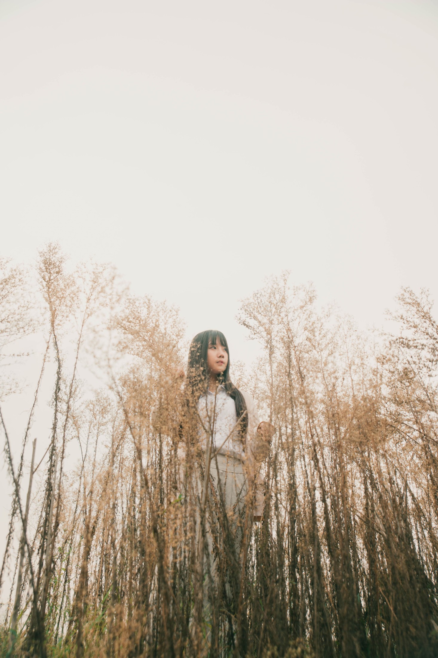 紫卿 – 《秋实》[21P] 插图4