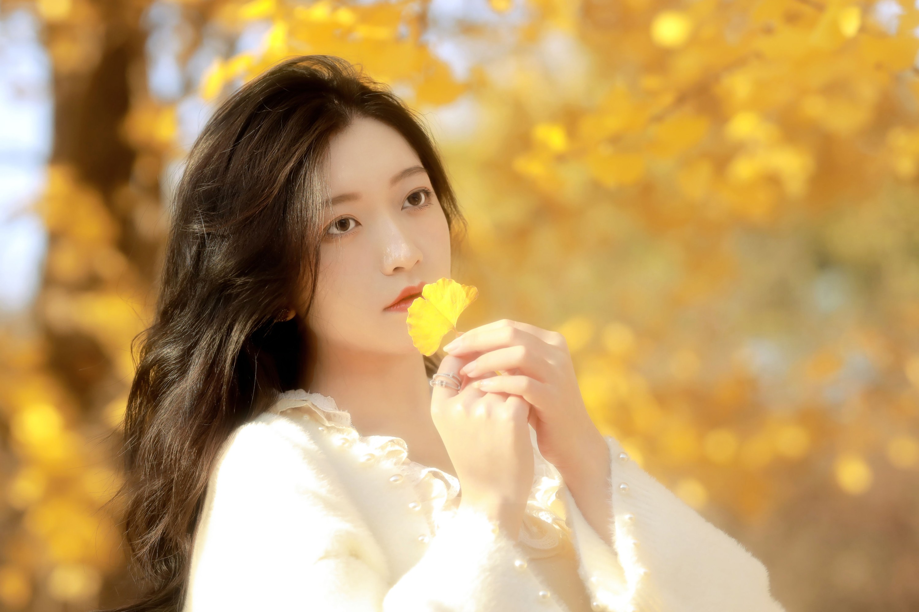 林林 – 《秋末一瞥》[20P] 插图4