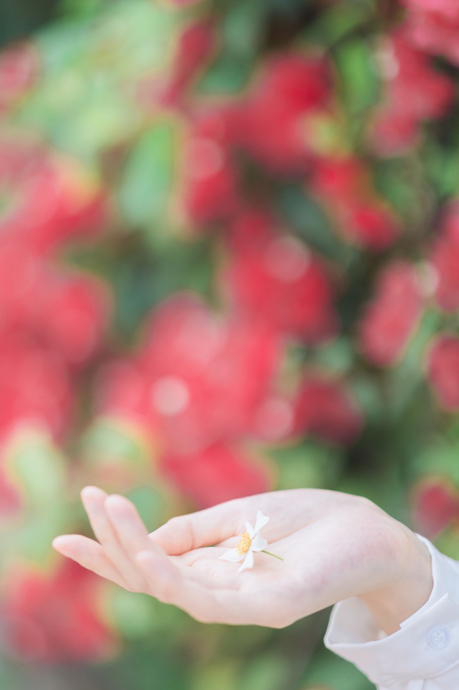 航子就是航子呀 – 《夏天的风》[27P] 插图4