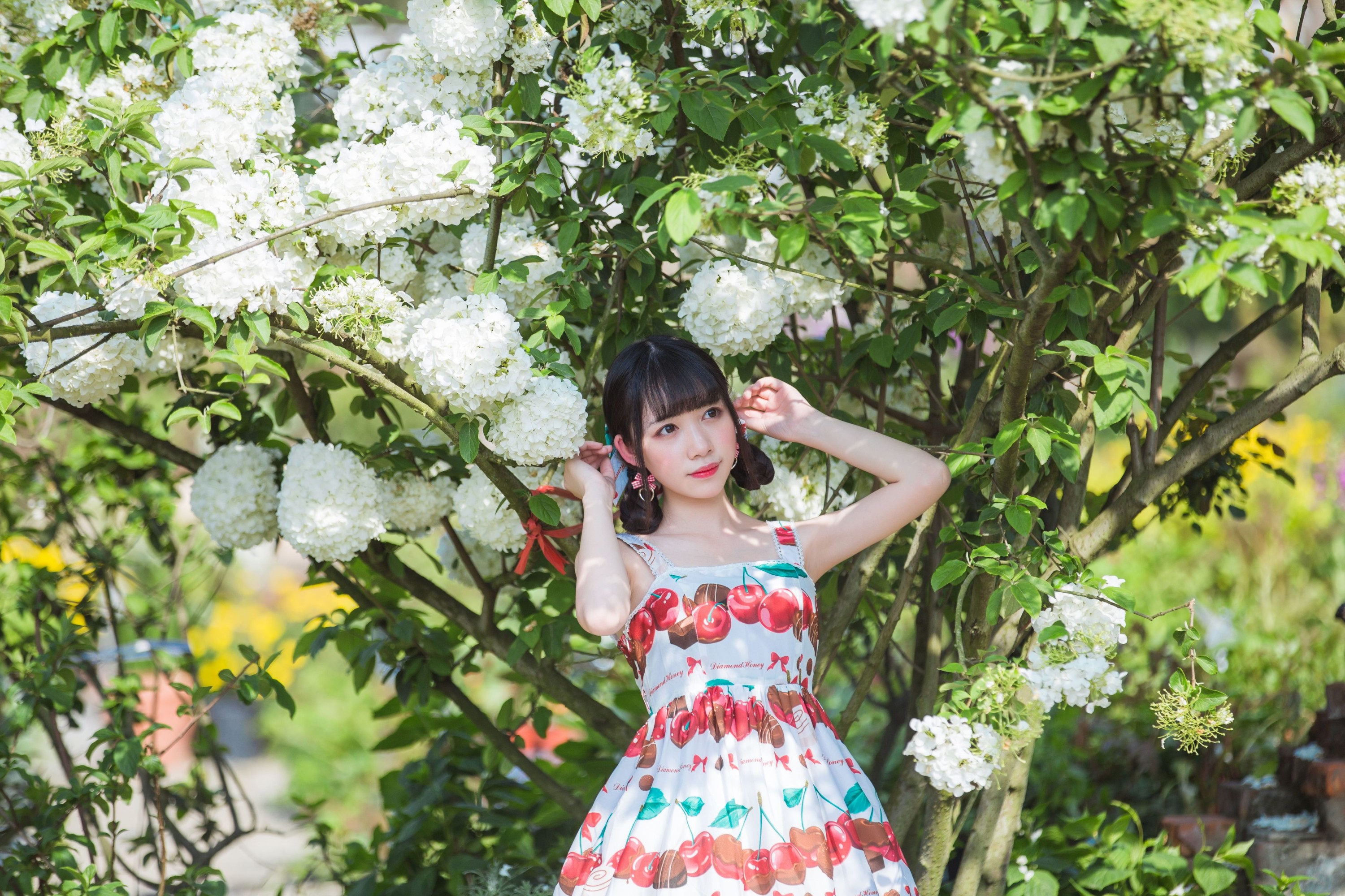 小风加载中 – 《绣球花》[43P] 插图5