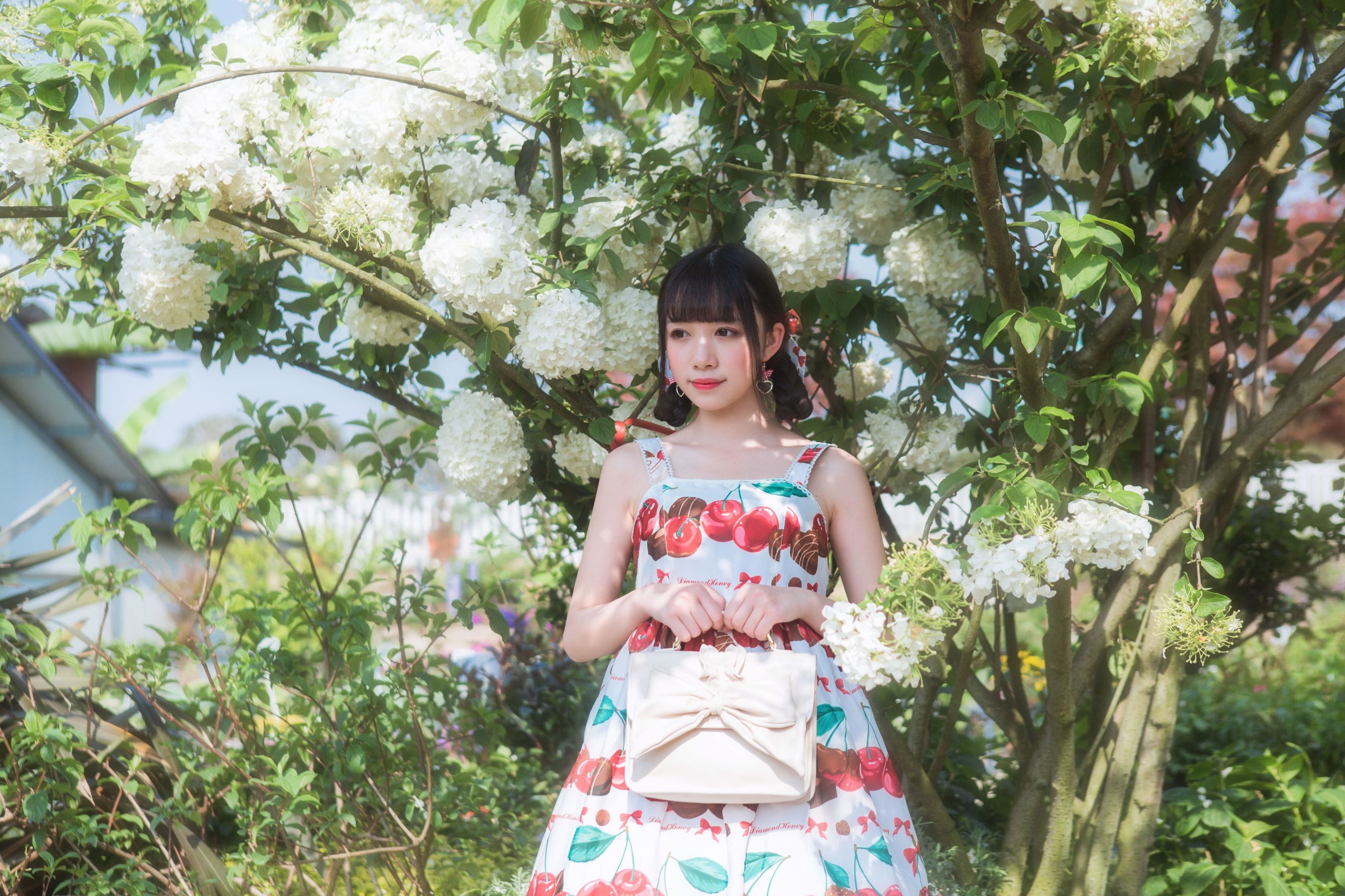 小风加载中 – 《绣球花》[43P] 插图3