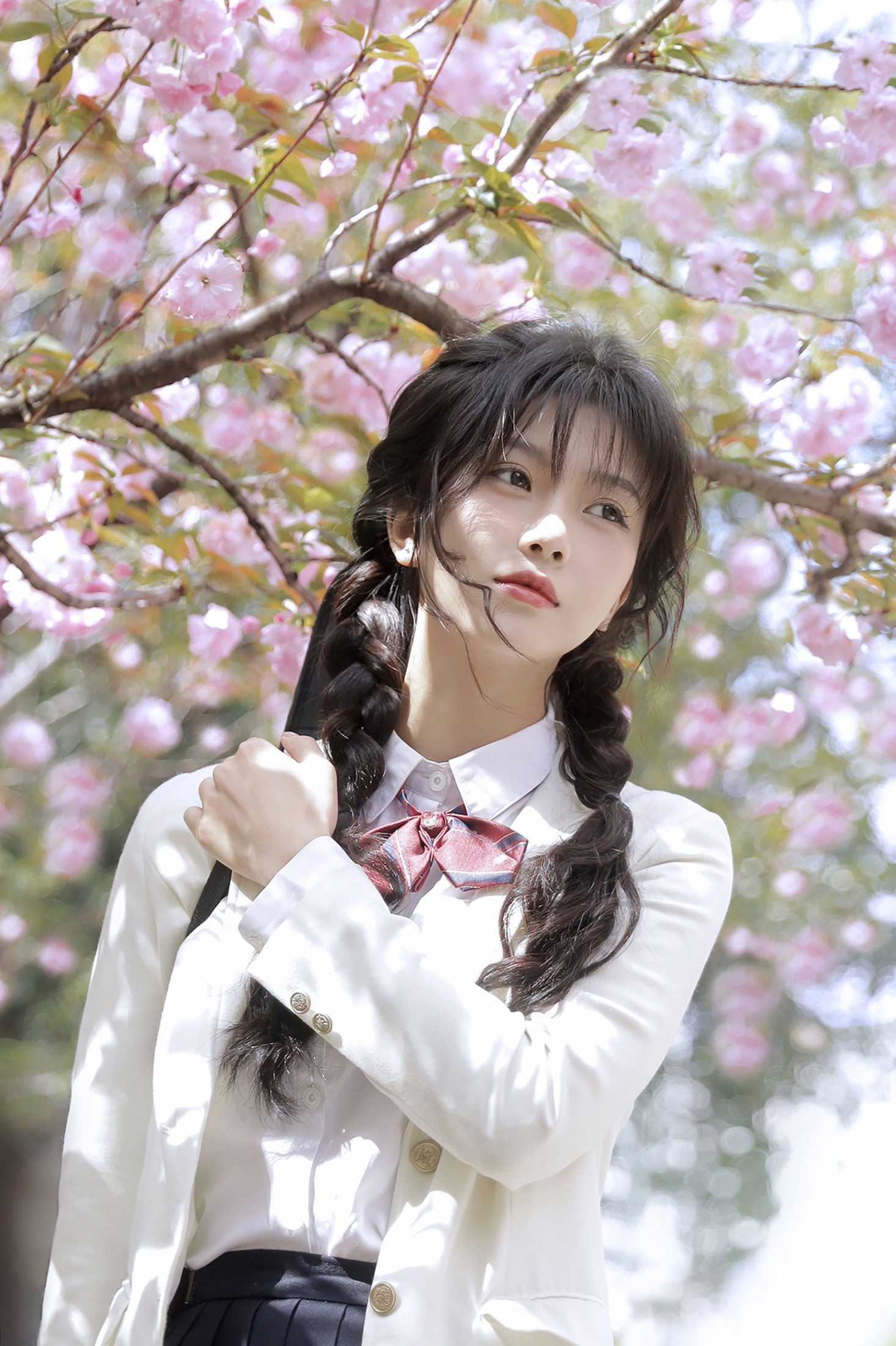 聂十三 – 《繁樱一树》[21P] 插图3