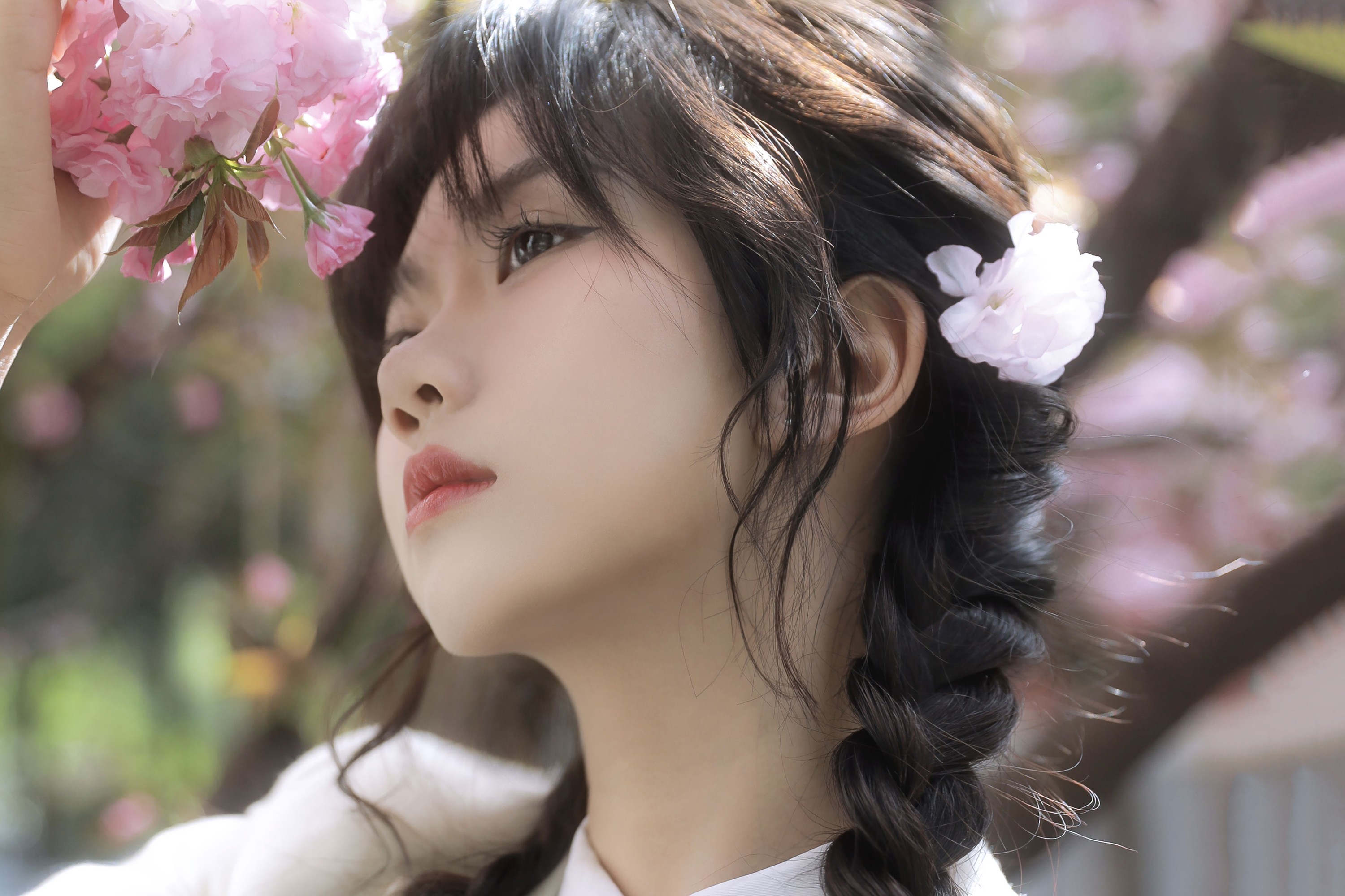 聂十三 – 《繁樱一树》[21P] 插图5