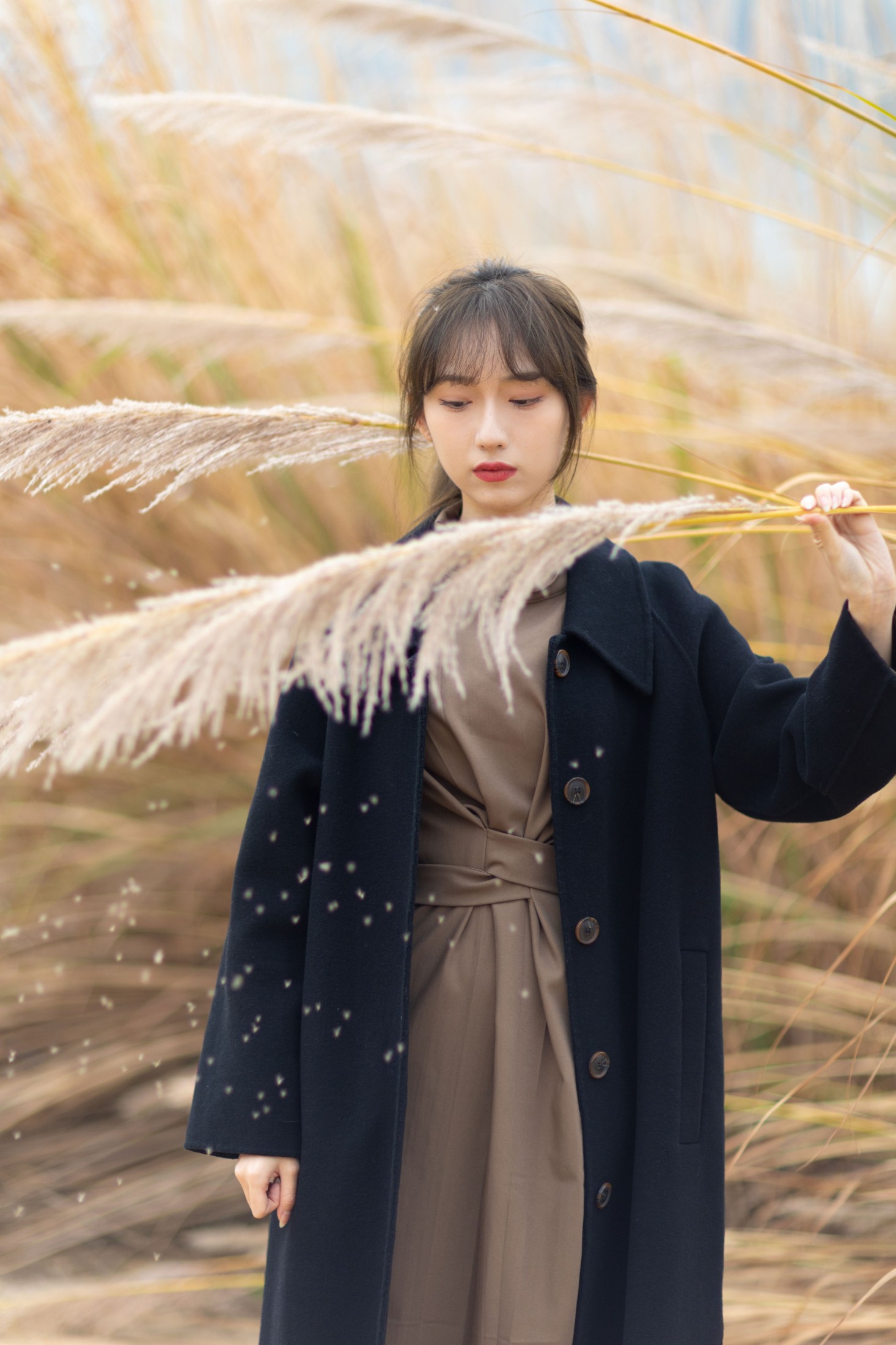 KK – 《那年秋天》[27P] 插图5