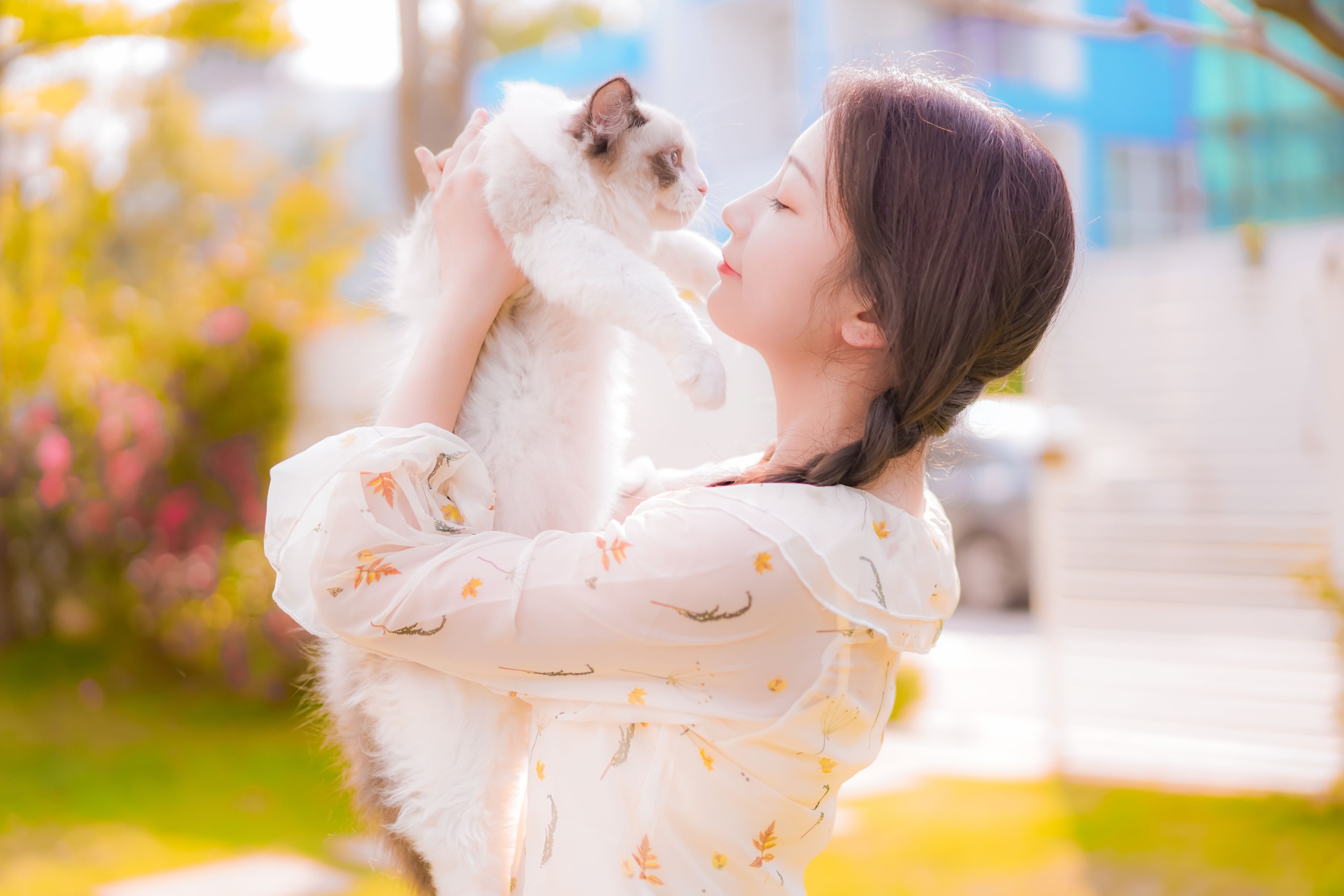 Faye – 《午后的温柔》[31P] 插图3