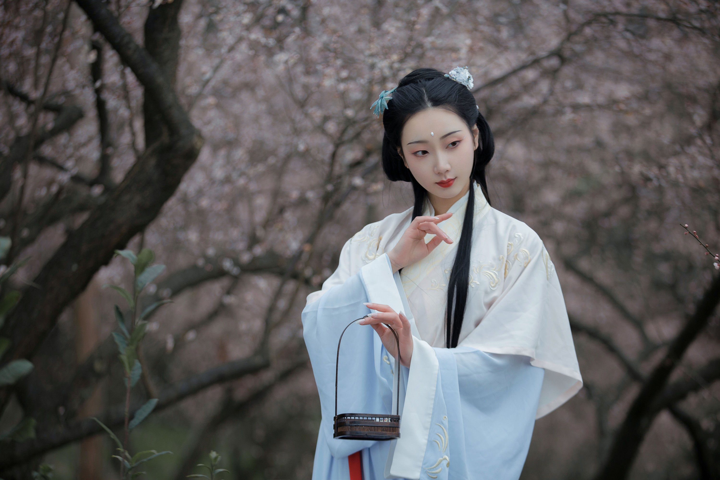 清音音音音 – 《清佳》[27P] 插图5