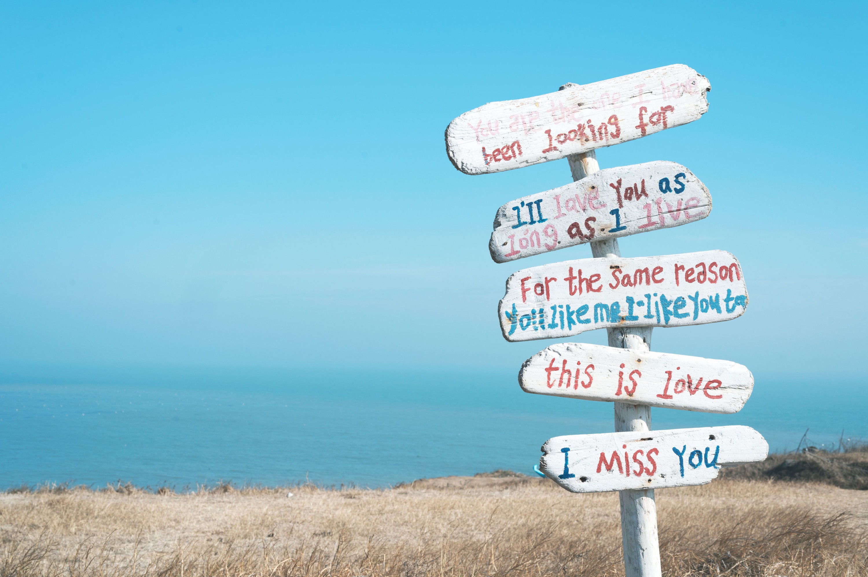 兔子Zzz不吃胡萝卜 – 《奔向海角》[25P] 插图4