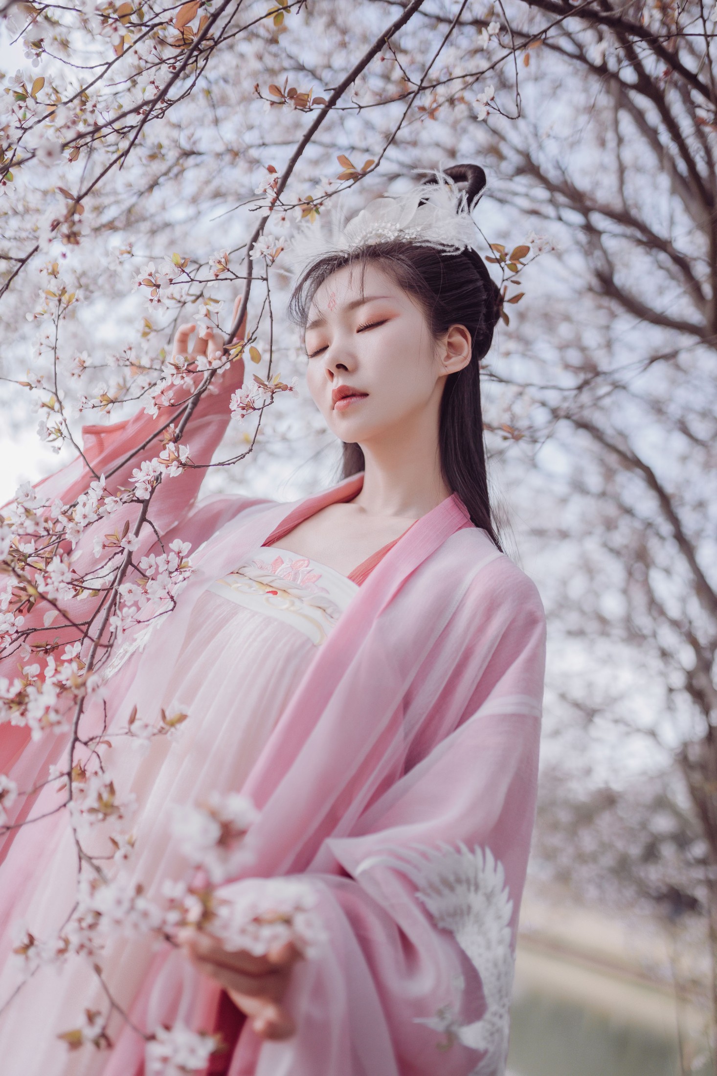 木哥 – 《香雪海》[25P] 插图5