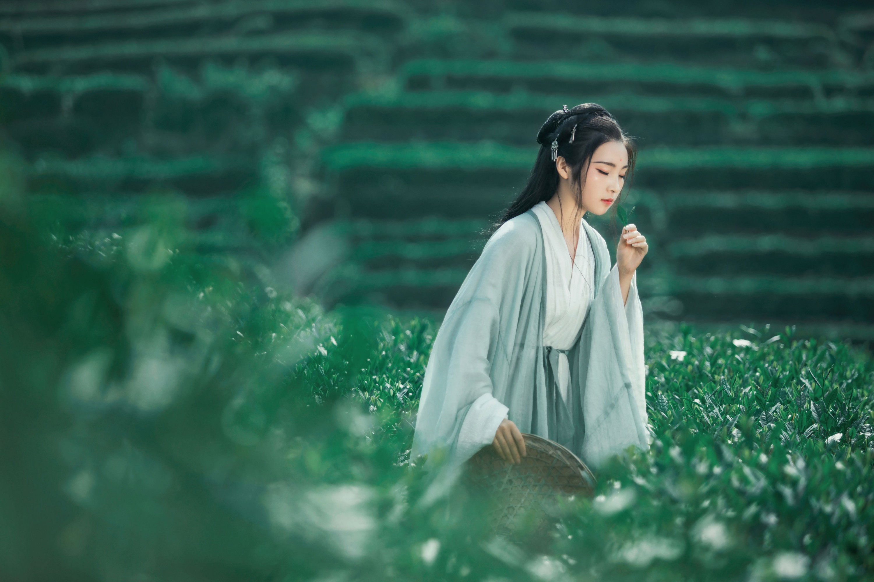 超困的鹿 – 《茶山》[32P] 插图5