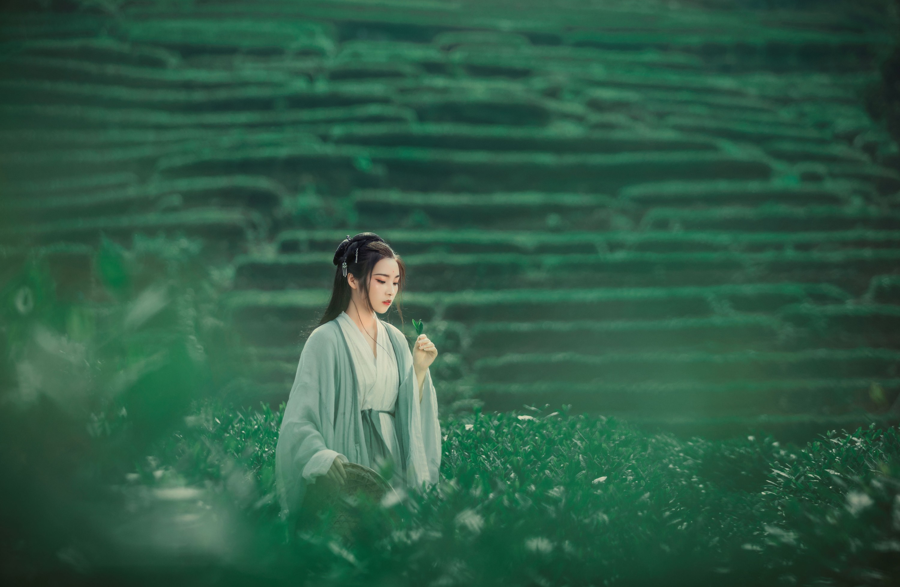 超困的鹿 – 《茶山》[32P] 插图4