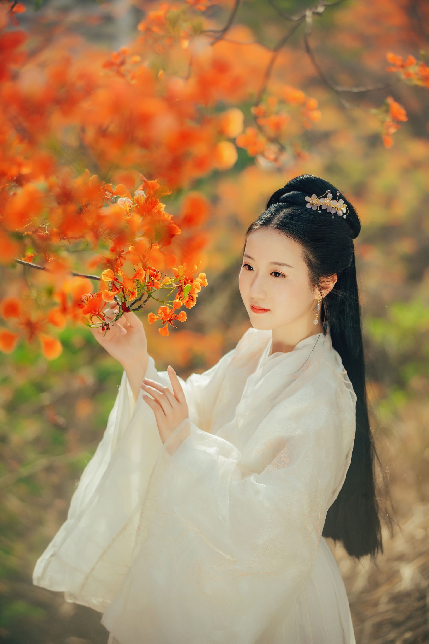 粥米饭 – 《凤凰花开》[26P] 插图3