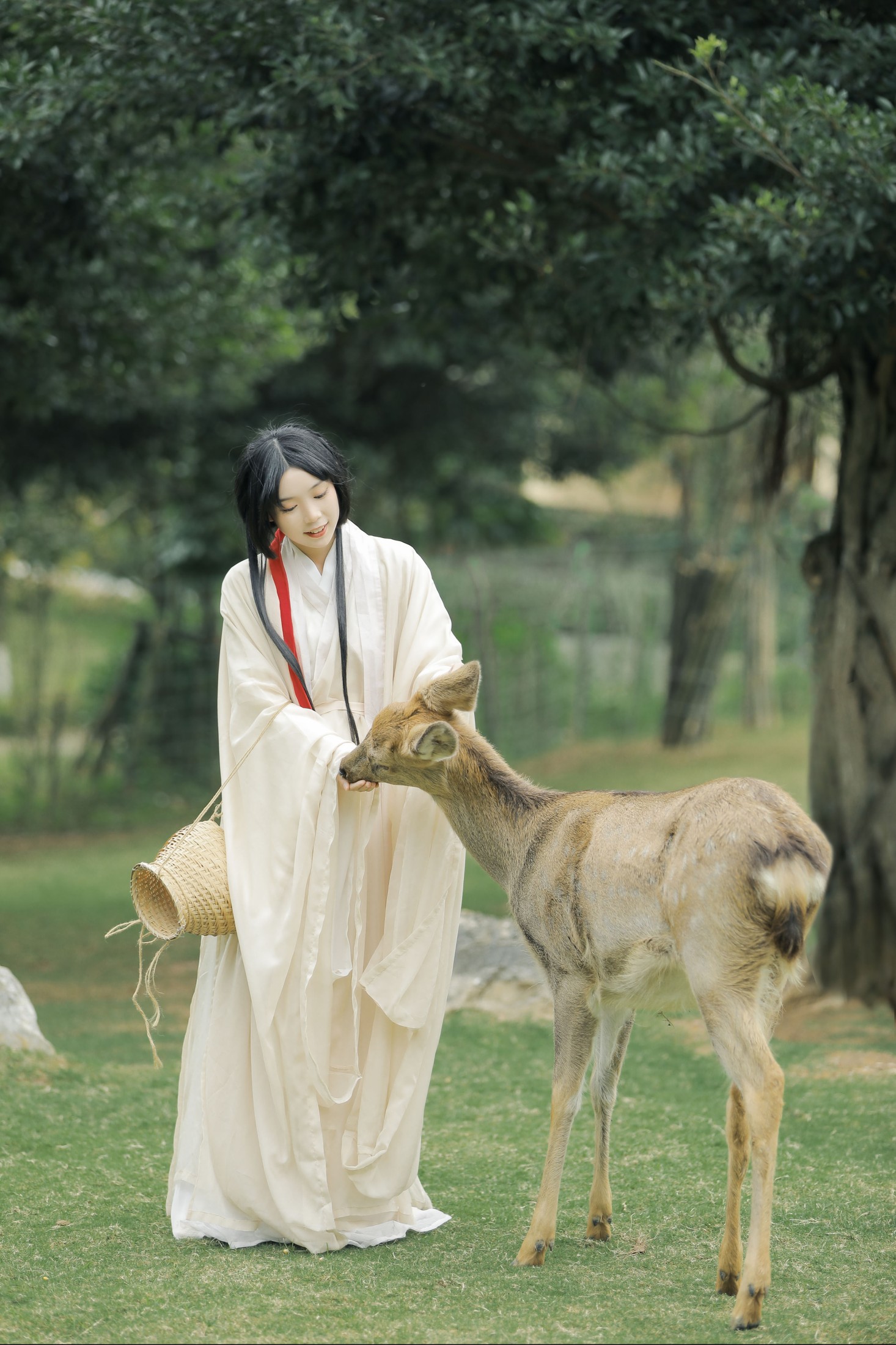 槐枝- – 《鹿鸣》[27P] 插图3