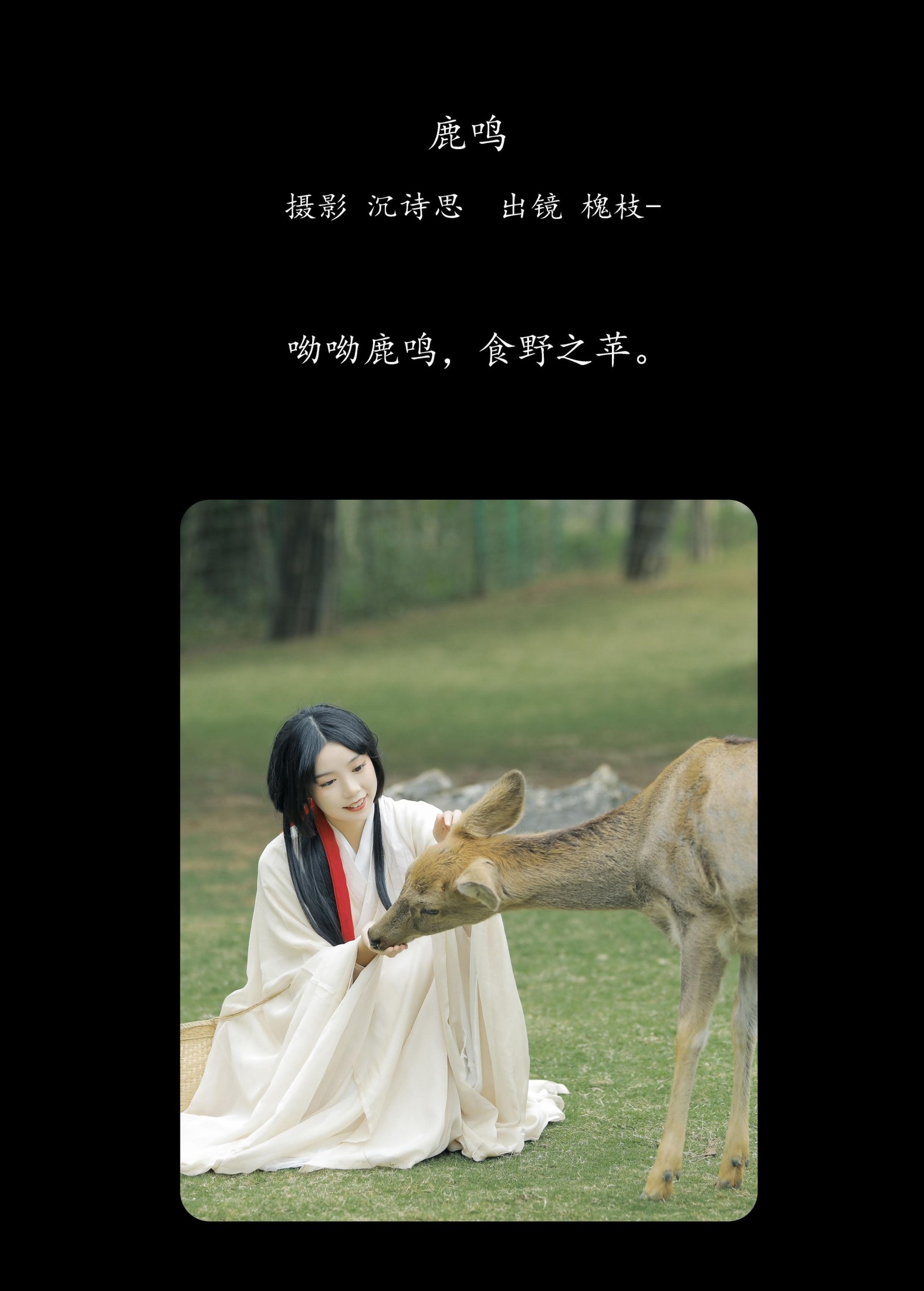 槐枝- – 《鹿鸣》[27P] 插图2