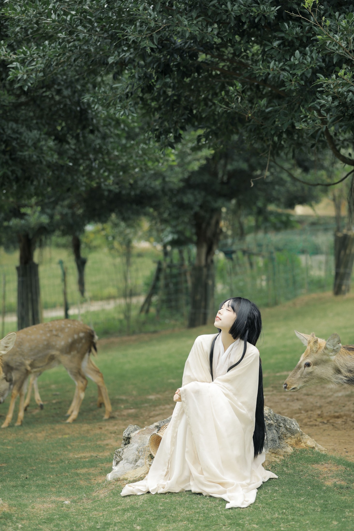 槐枝- – 《鹿鸣》[27P] 插图5