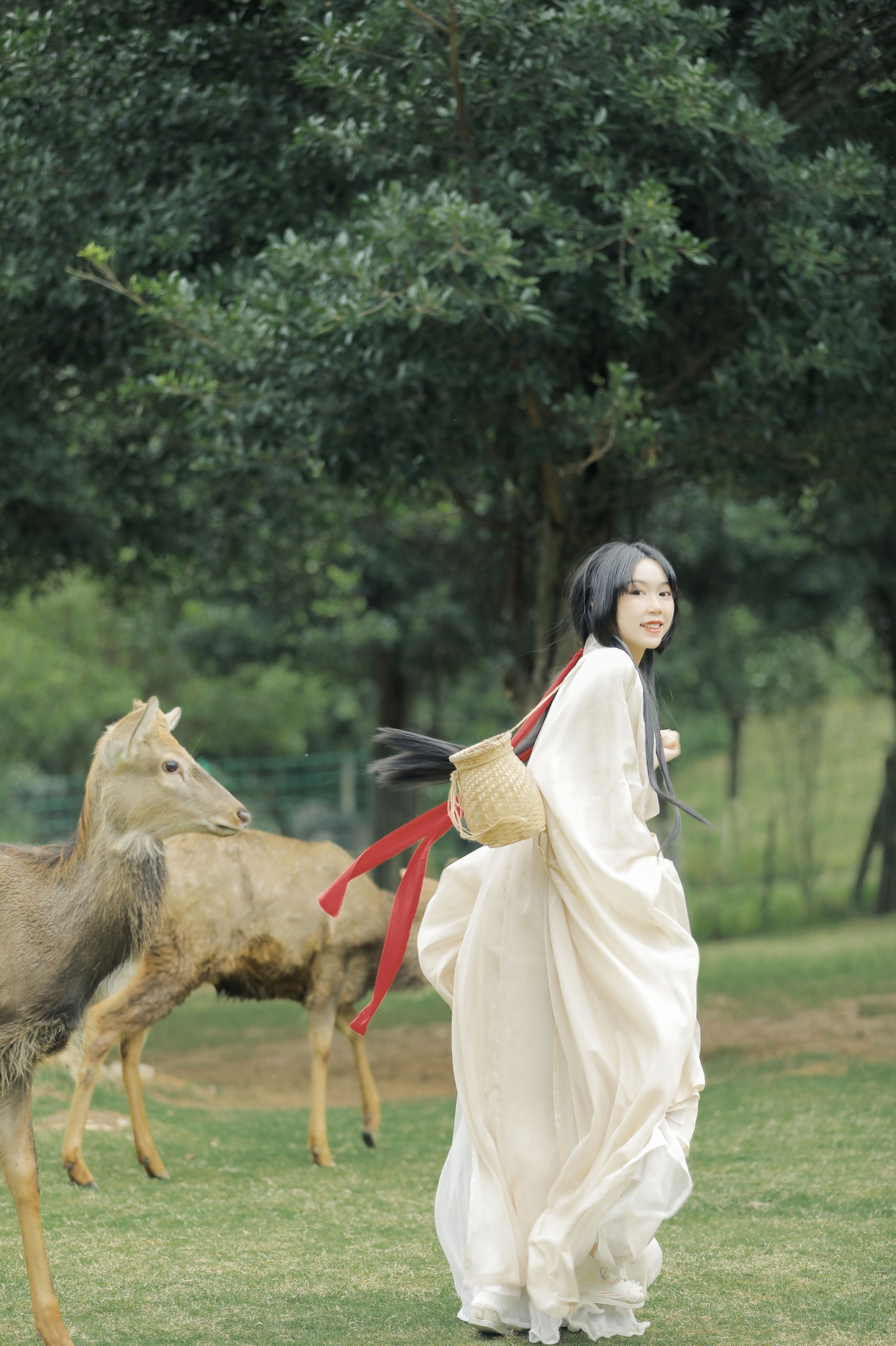 槐枝- – 《鹿鸣》[27P] 插图4