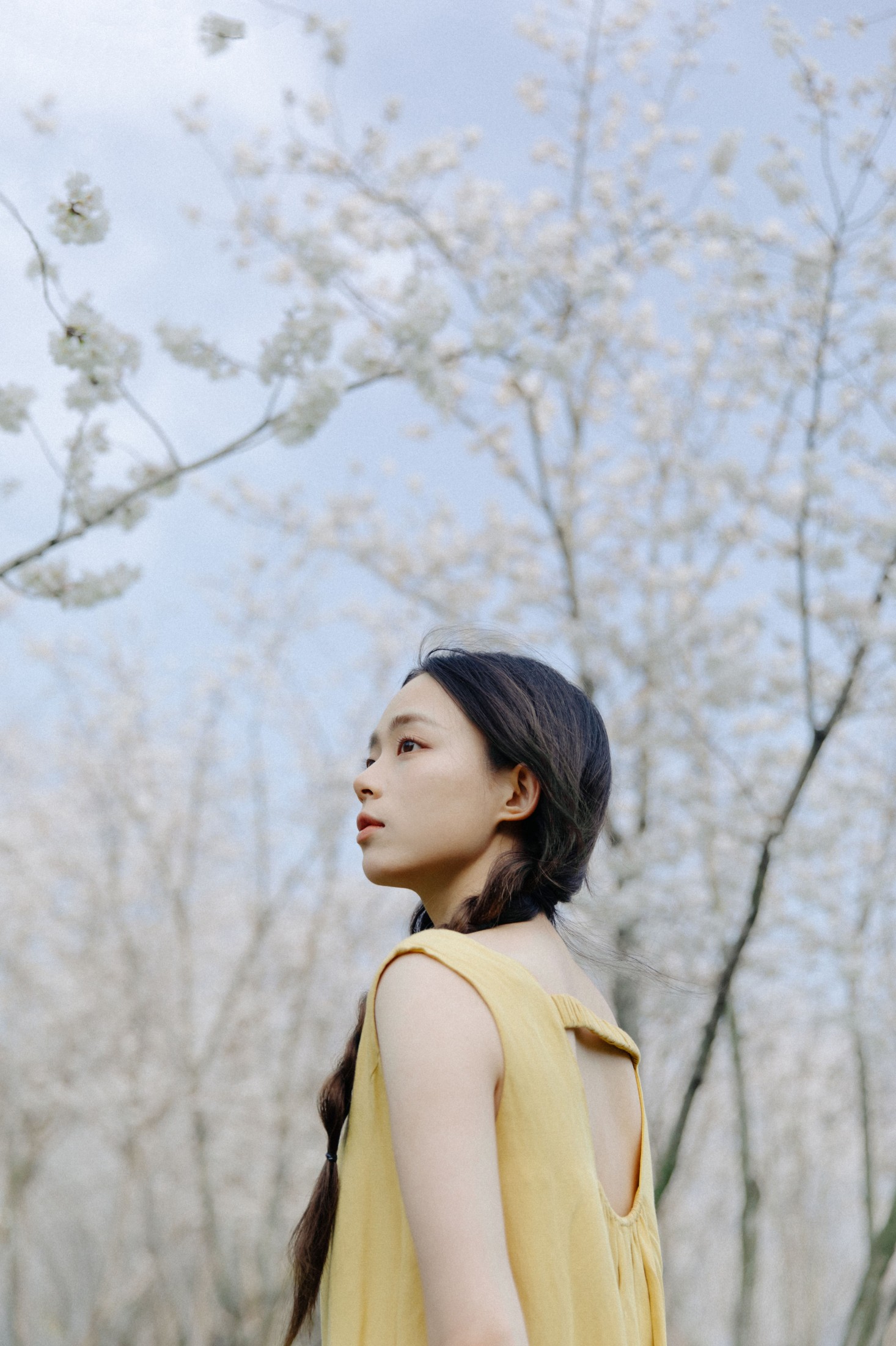 九麻MAA – 《遇见初樱》[27P] 插图5