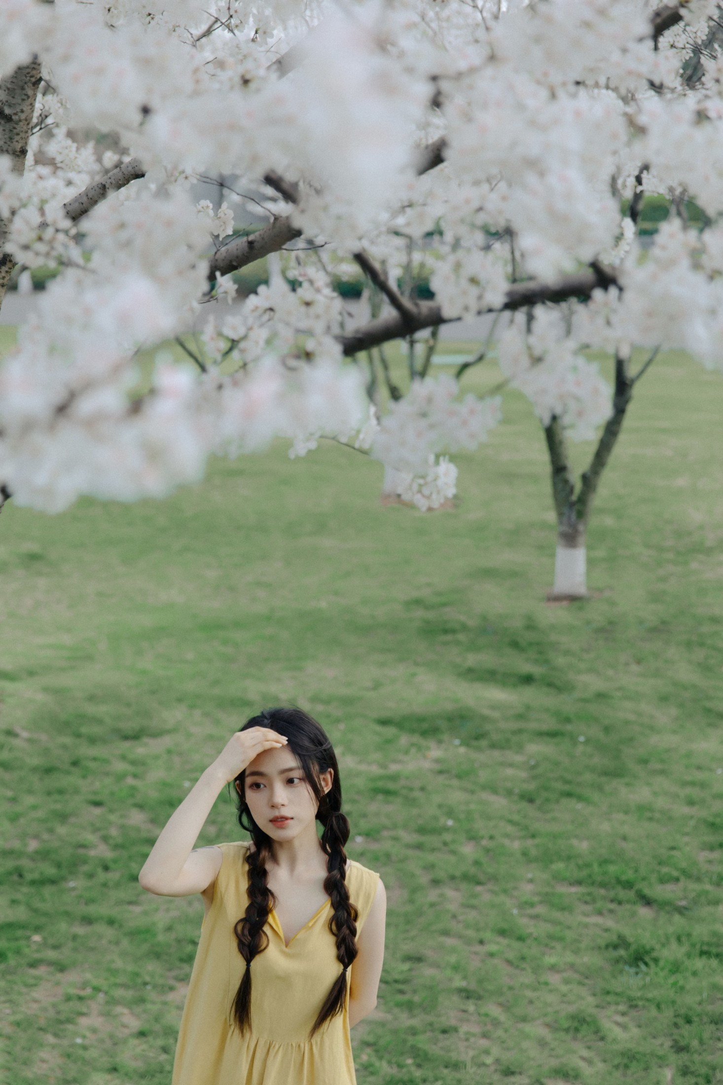 九麻MAA – 《遇见初樱》[27P] 插图4