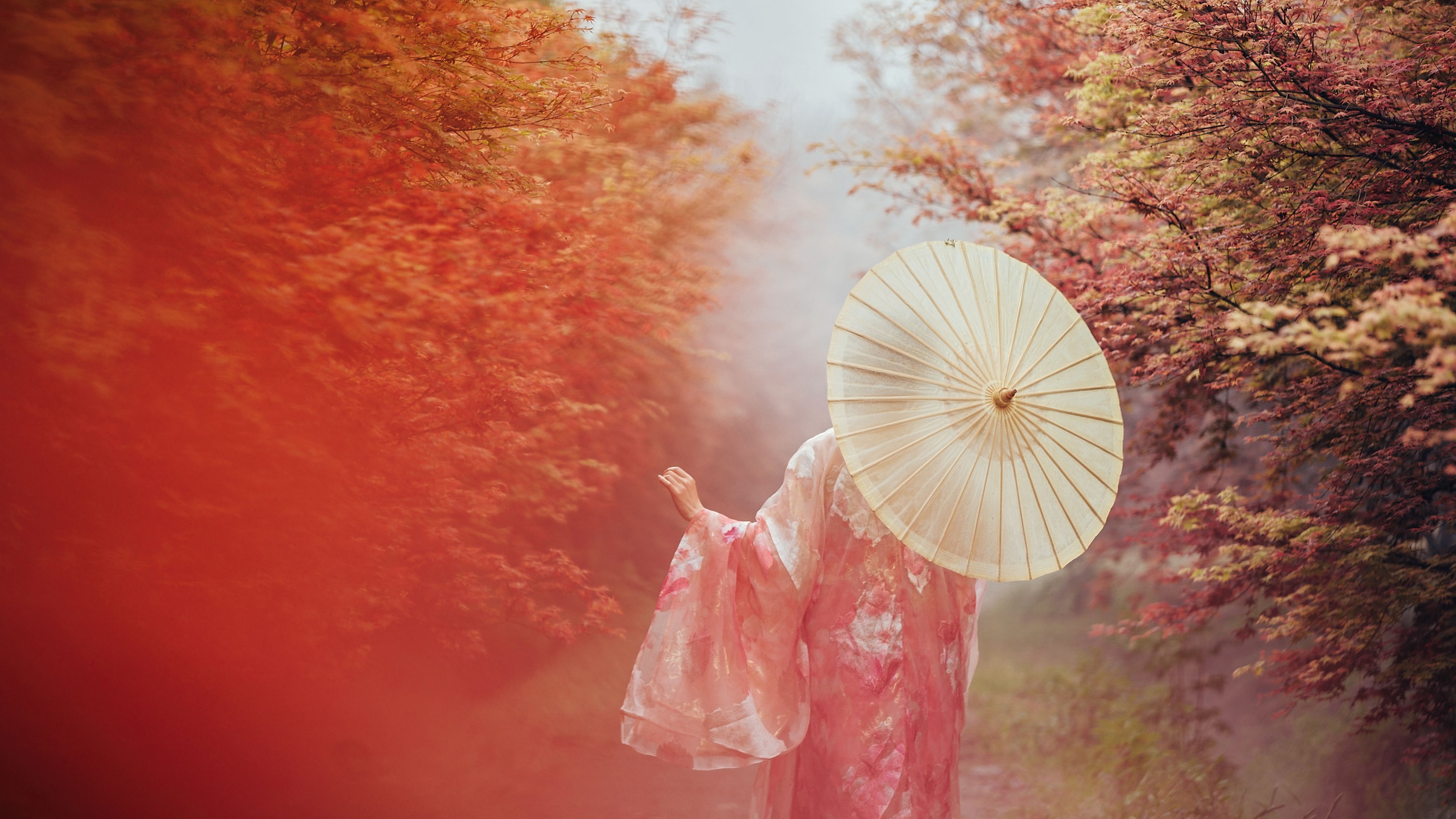 木哥 – 《枫意》[21P] 插图5