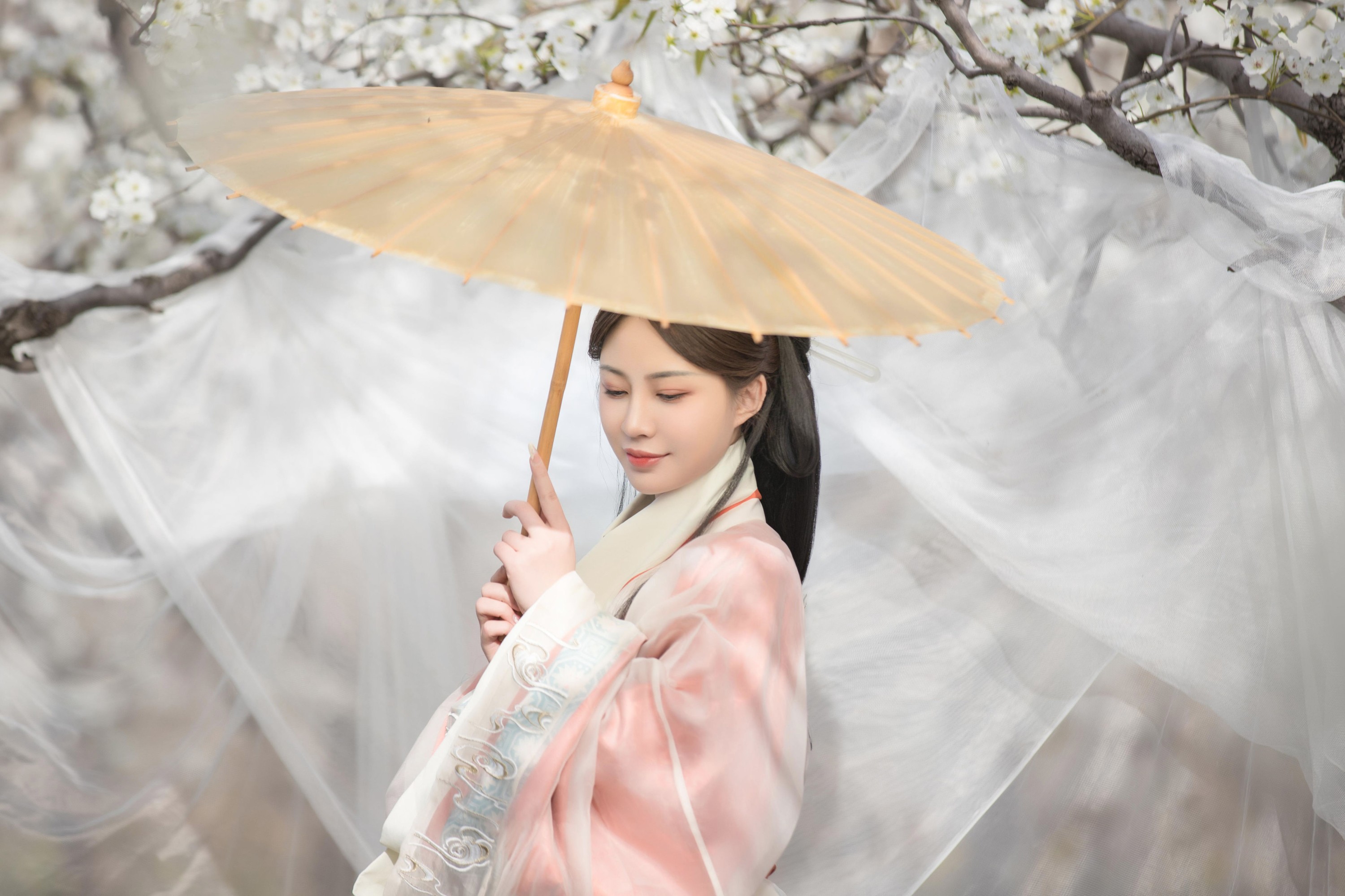 鹿哥 – 《香寒未逐风》[24P] 插图4