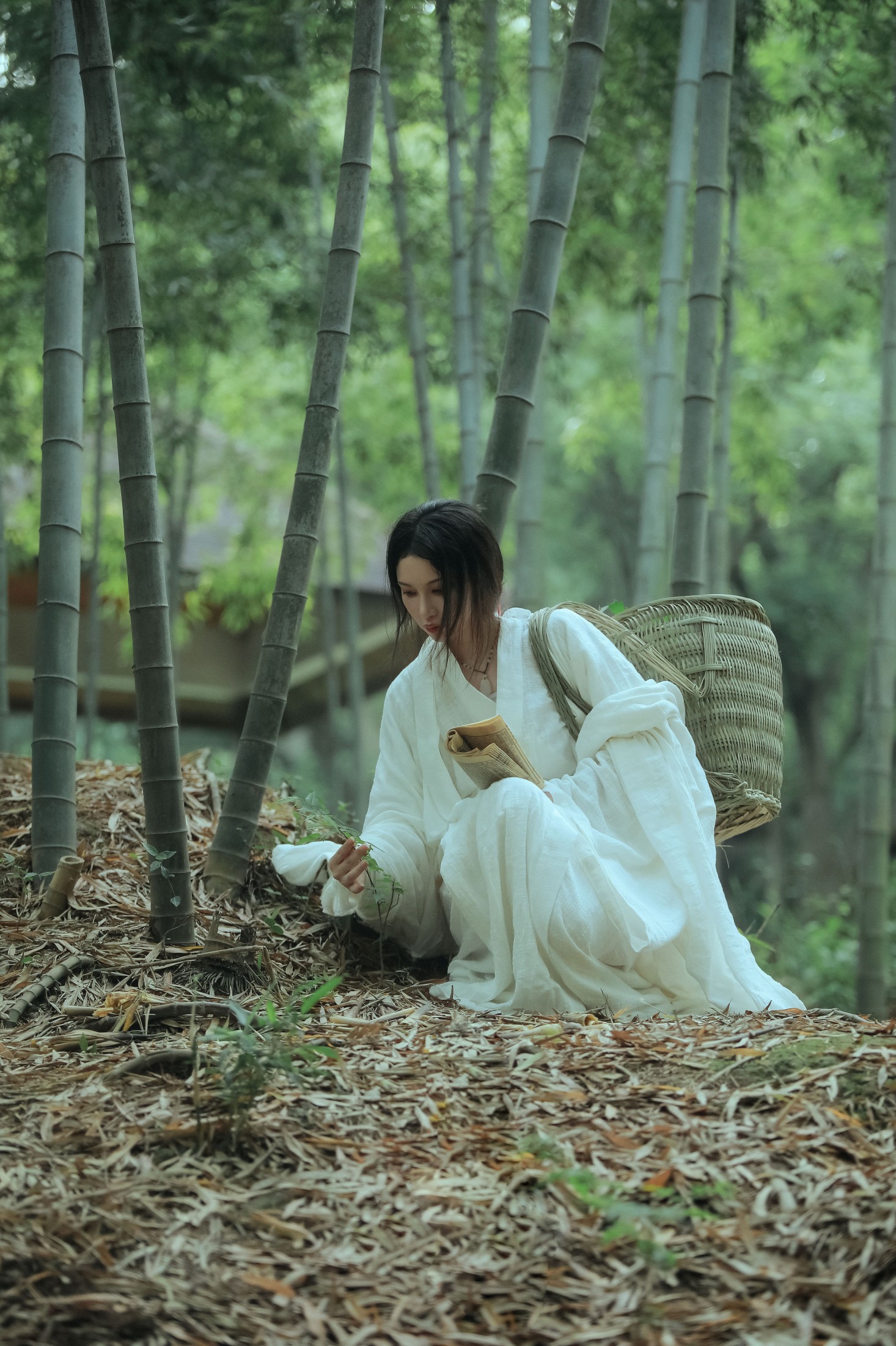 阿妍纸 – 《神农氏》[26P] 插图3