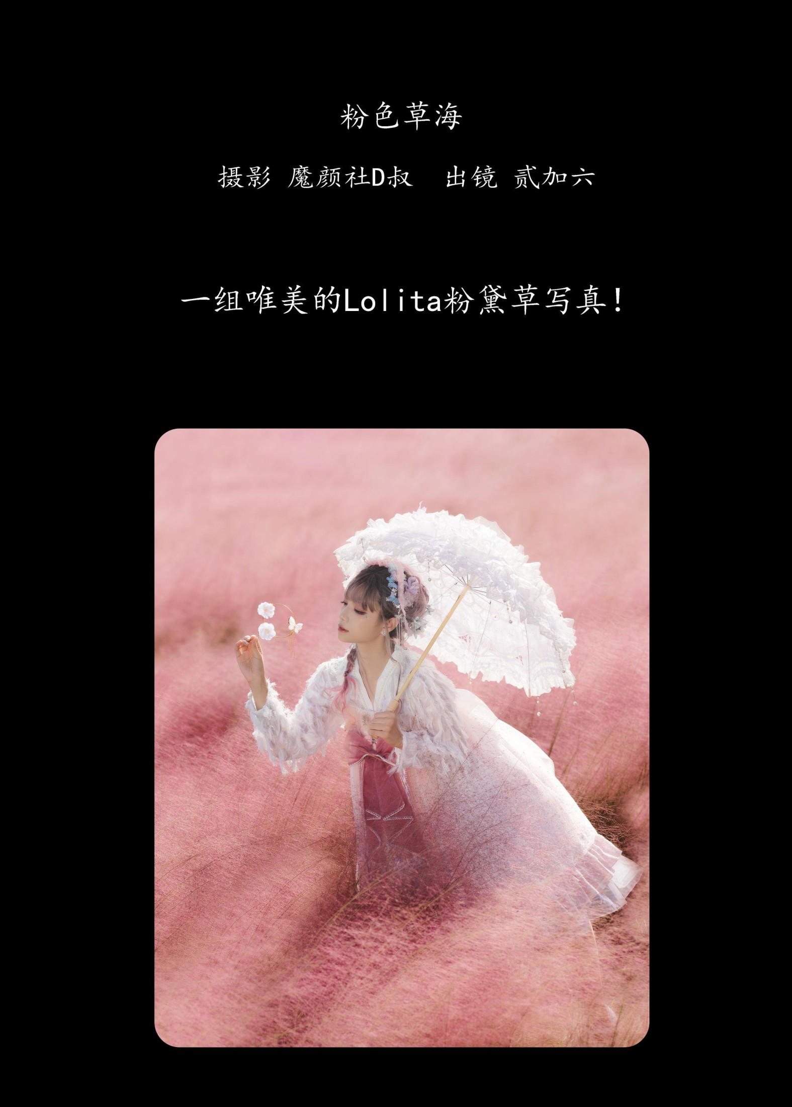 贰加六 – 《粉色草海》[22P] 插图2