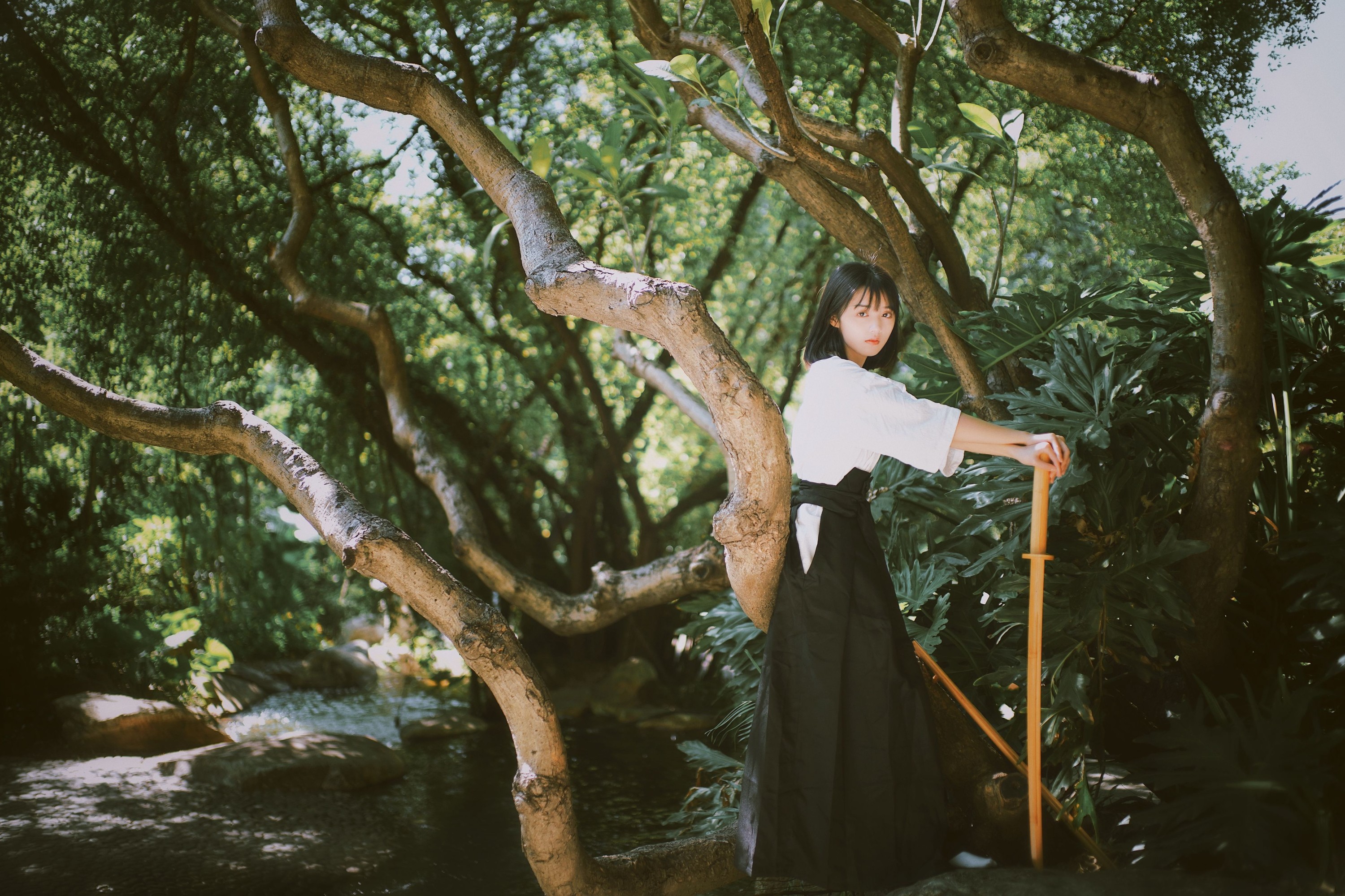 雨文 – 《剑道》[25P] 插图4