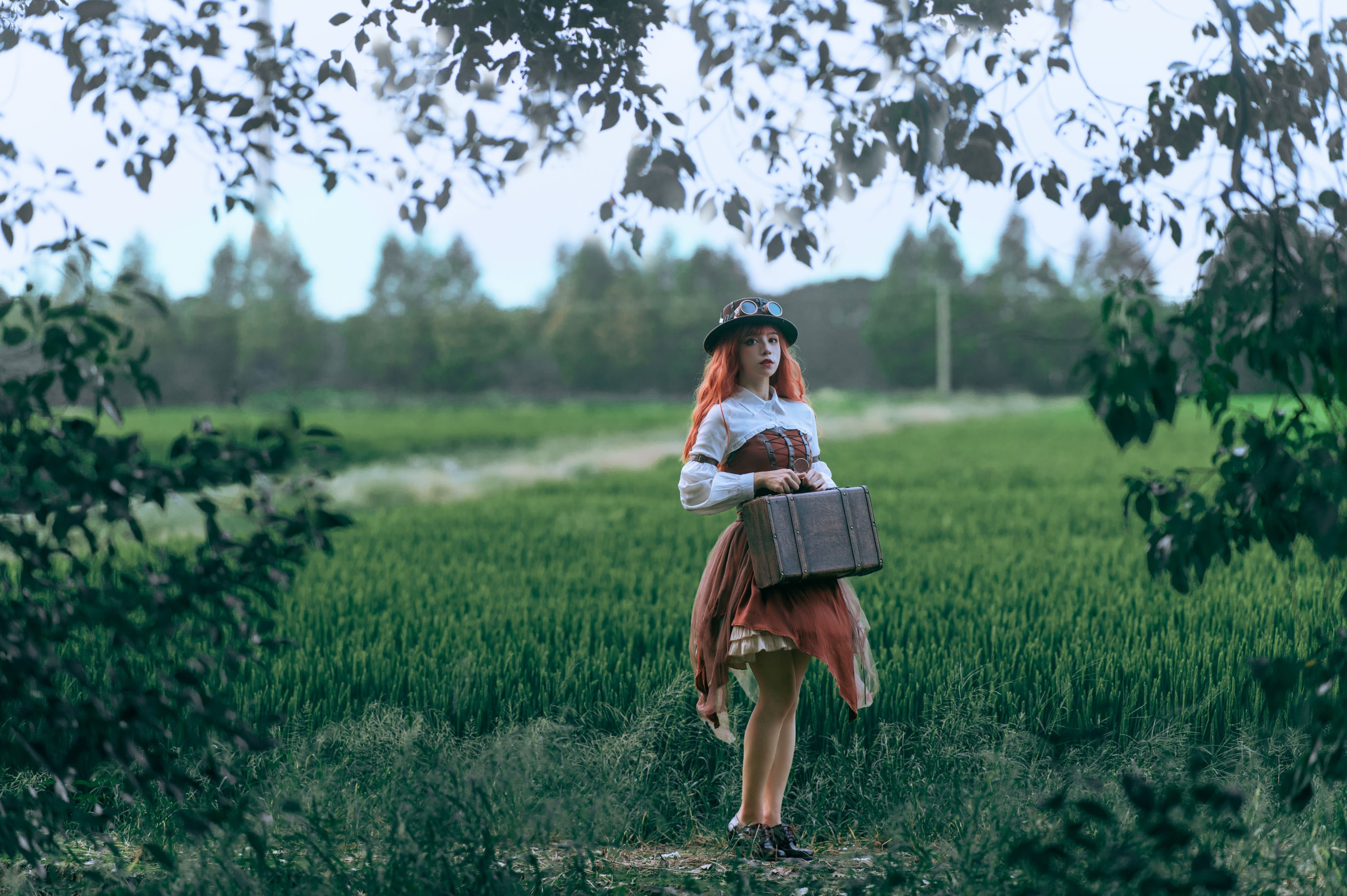 贰加六 – 《神奇植物在哪里》[31P] 插图4