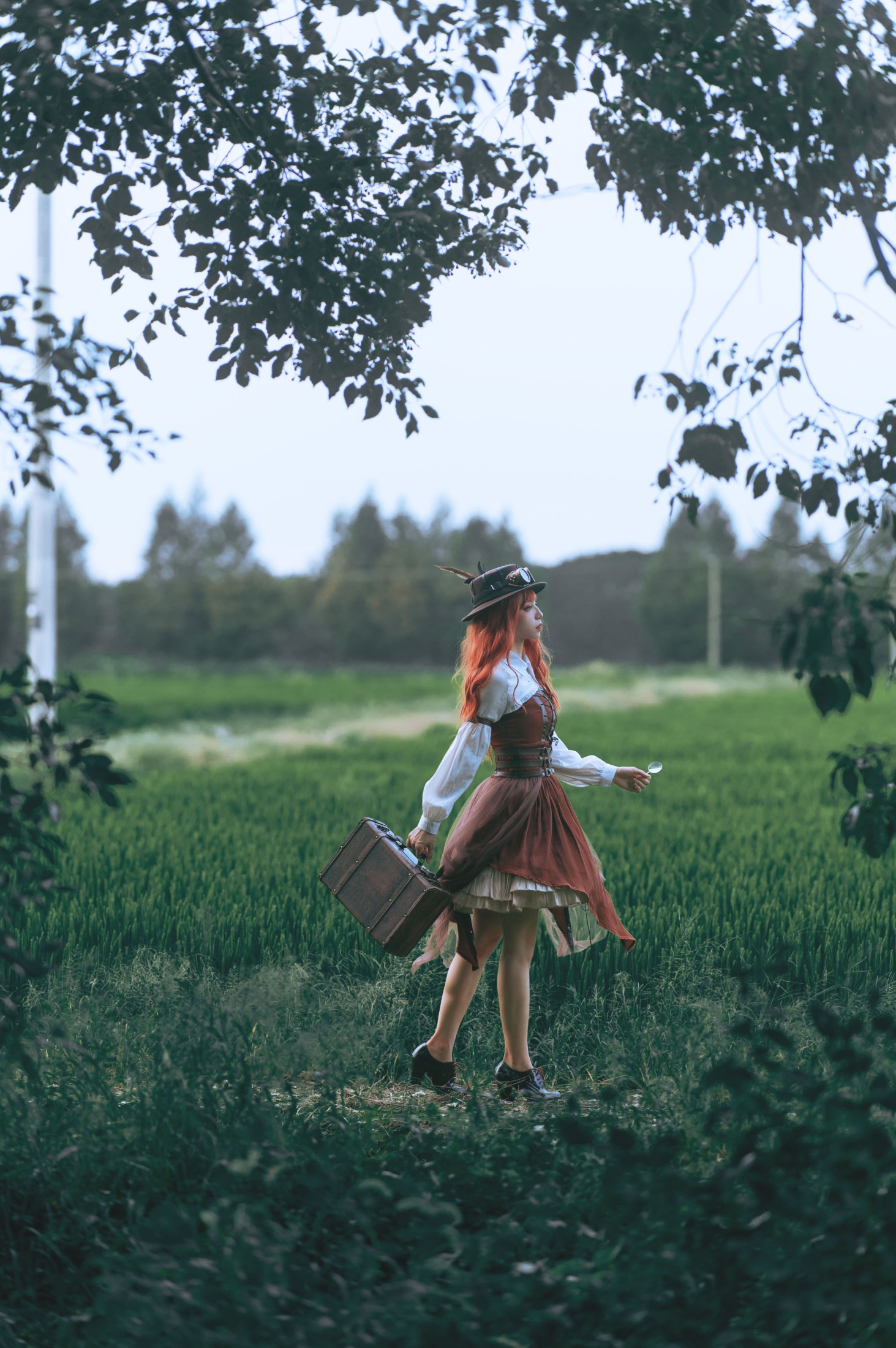 贰加六 – 《神奇植物在哪里》[31P] 插图5