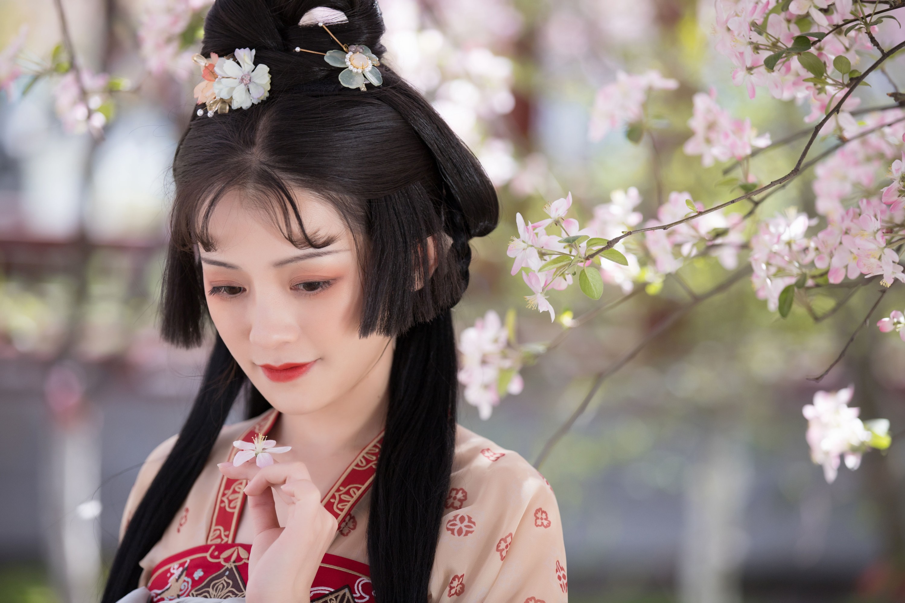 清沅斋 – 《海棠语》[22P] 插图4