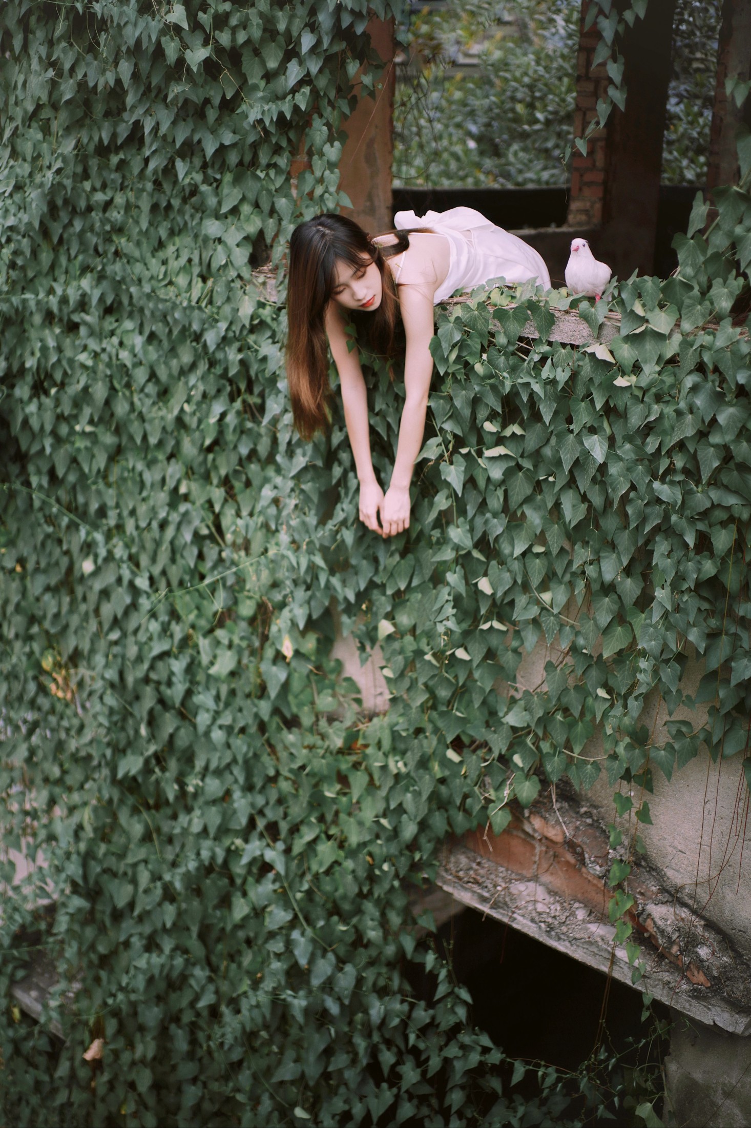 Hanna – 《花寂》[21P] 插图4