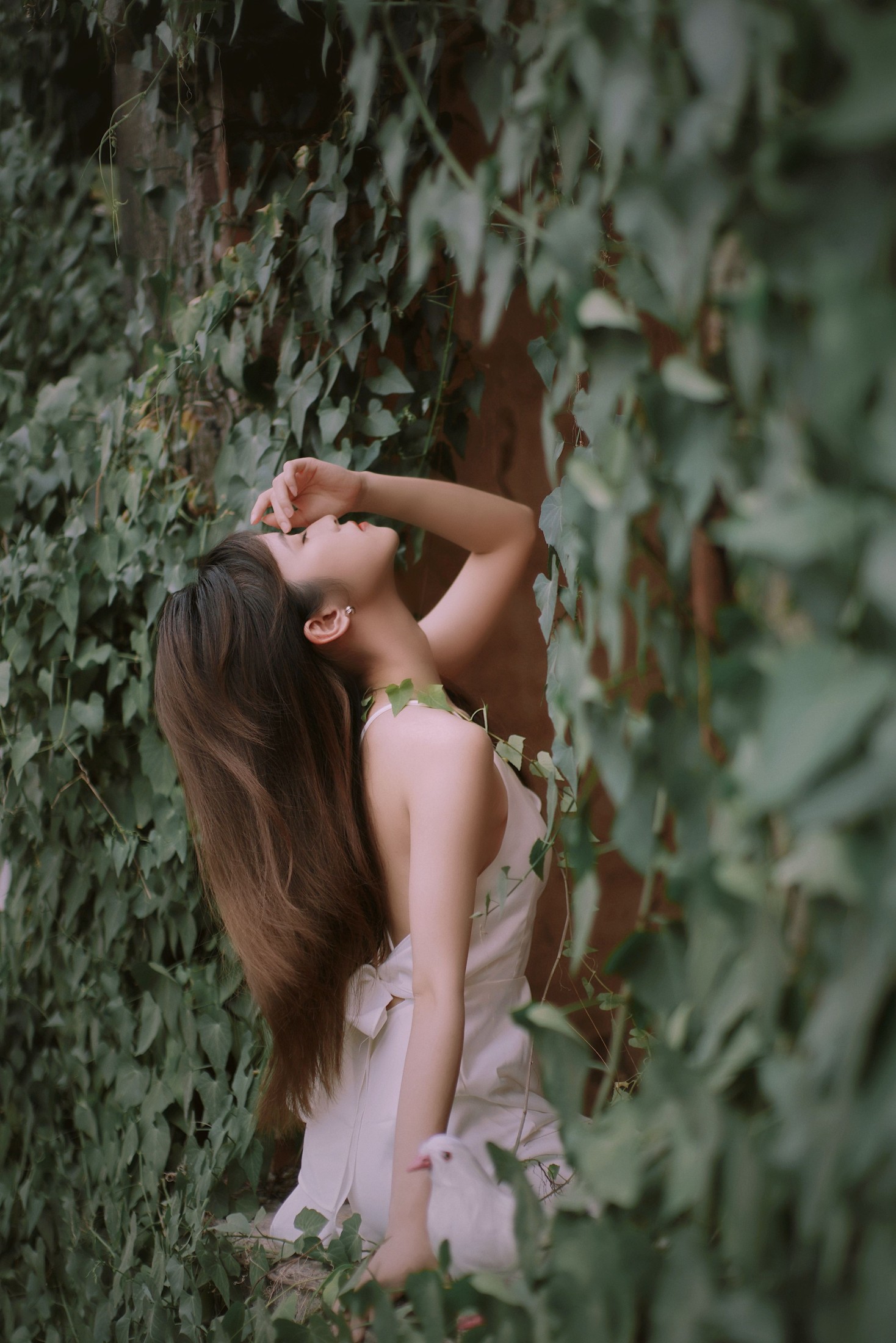 Hanna – 《花寂》[21P] 插图5