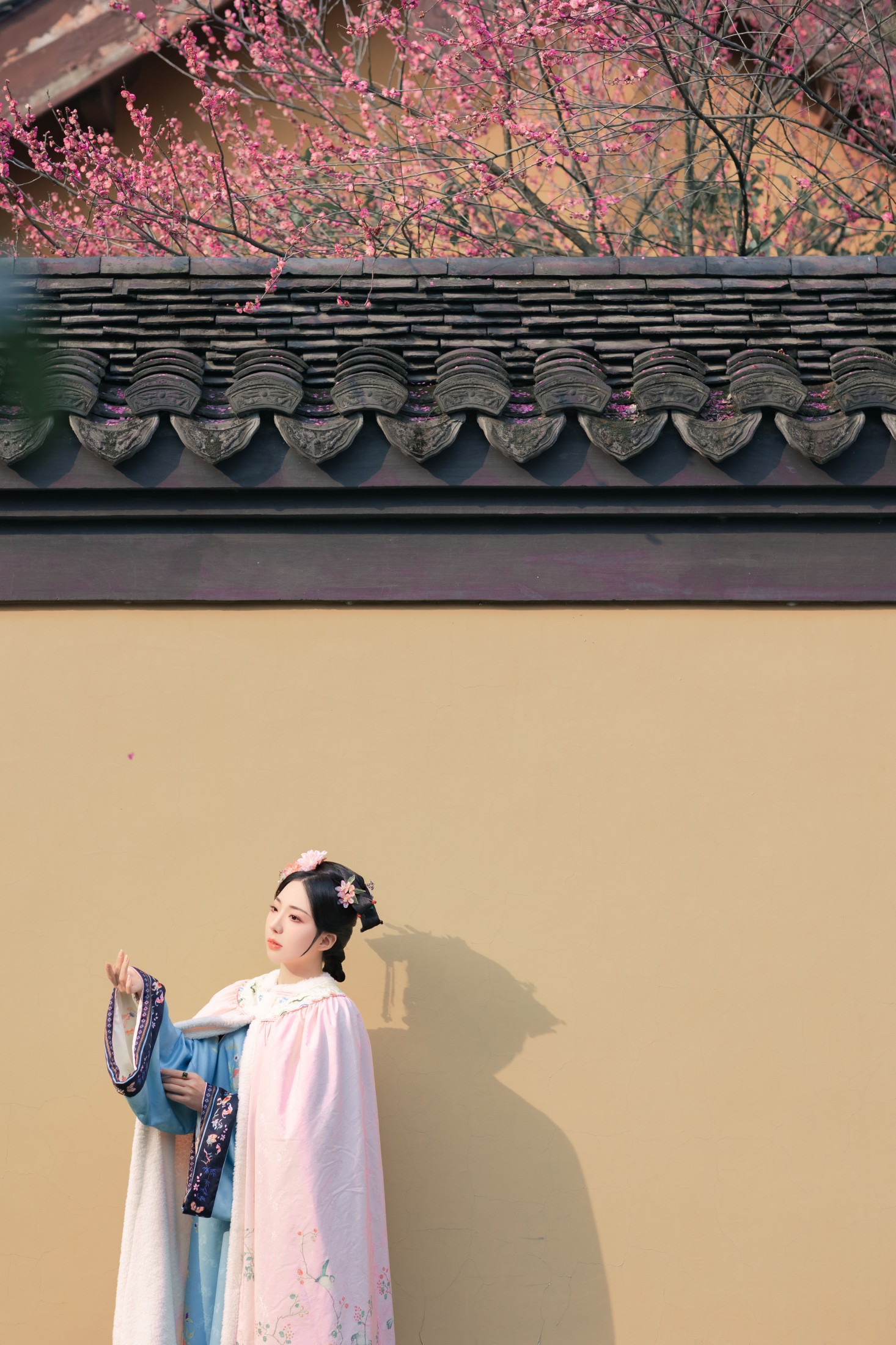 是真的南渊 – 《探梅》[43P] 插图3