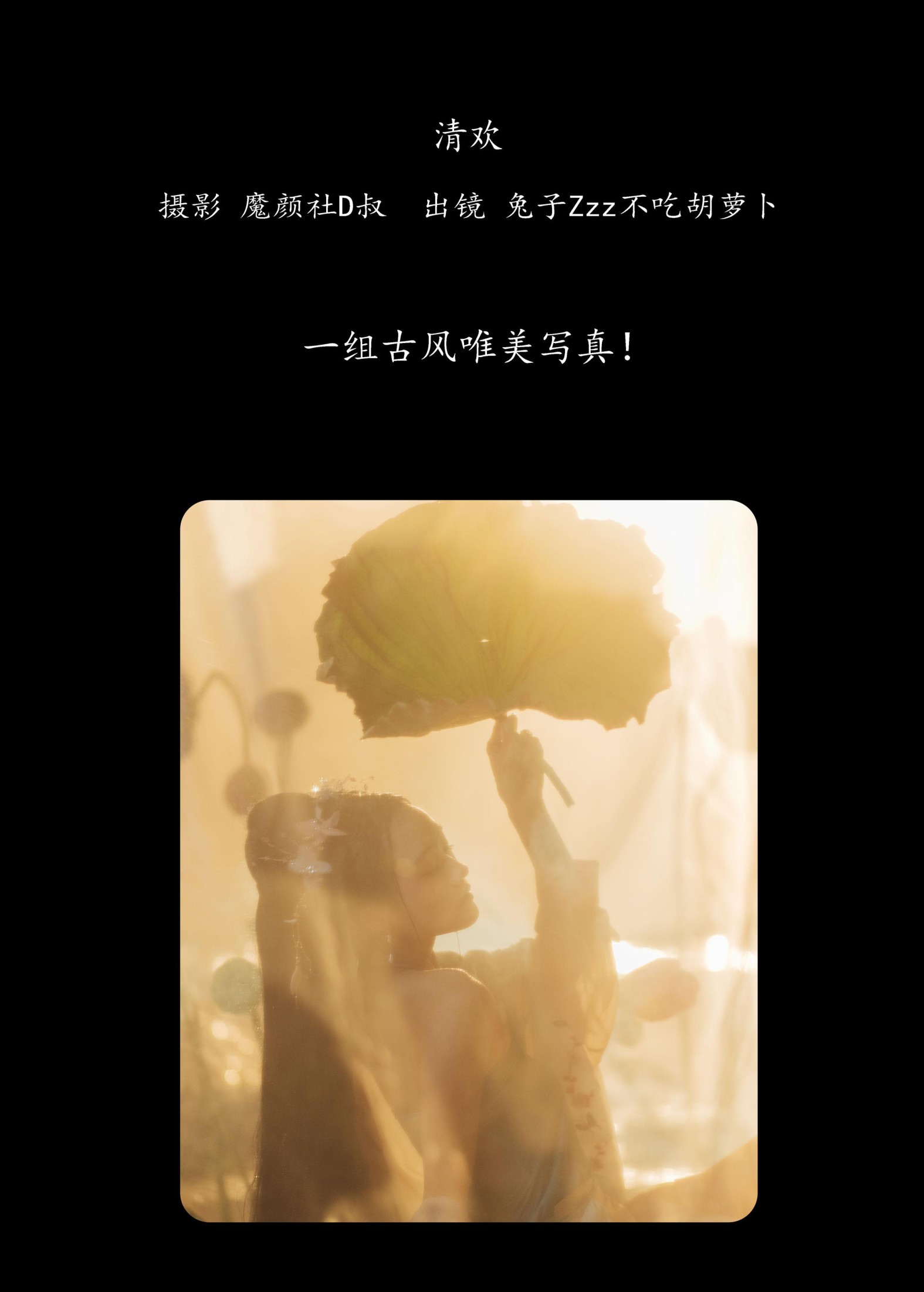 兔子Zzz不吃胡萝卜 – 《清欢》[35P] 插图2