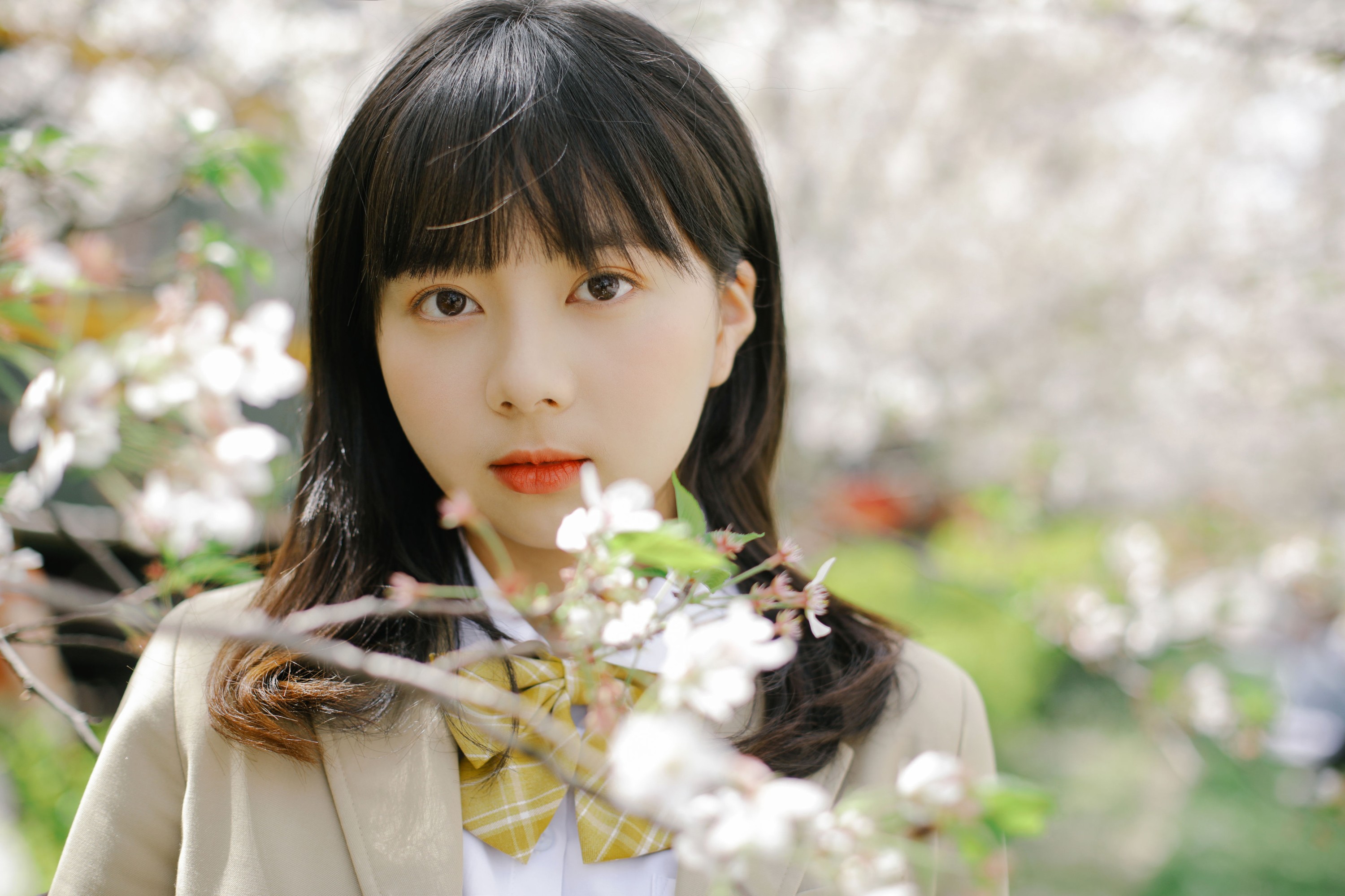 谢乏乏 – 《樱花烂漫》[39P] 插图5