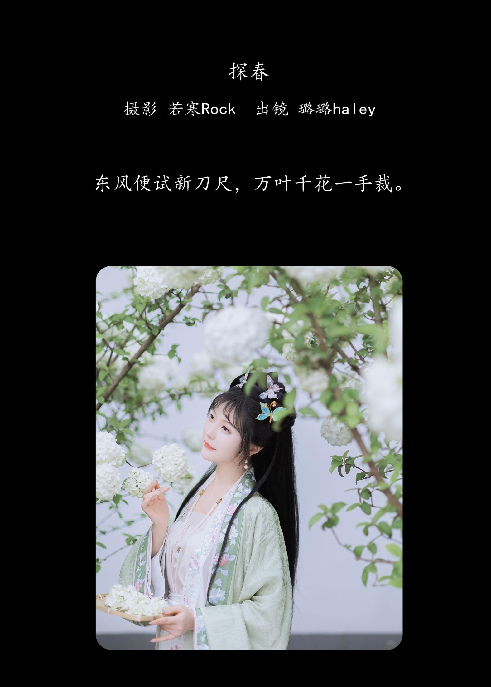 璐璐haley – 《探春》[42P] 插图2