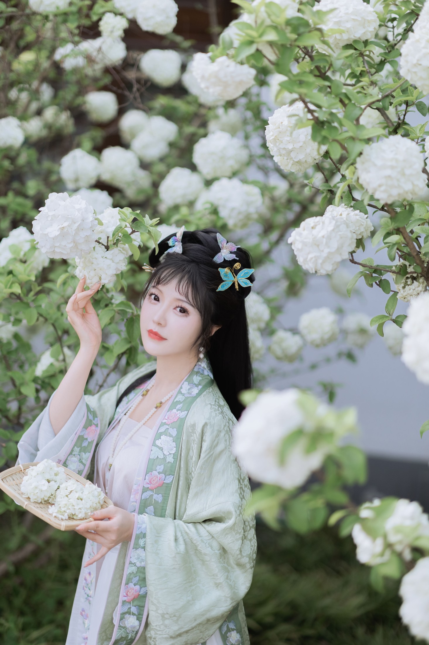 璐璐haley – 《探春》[42P] 插图4