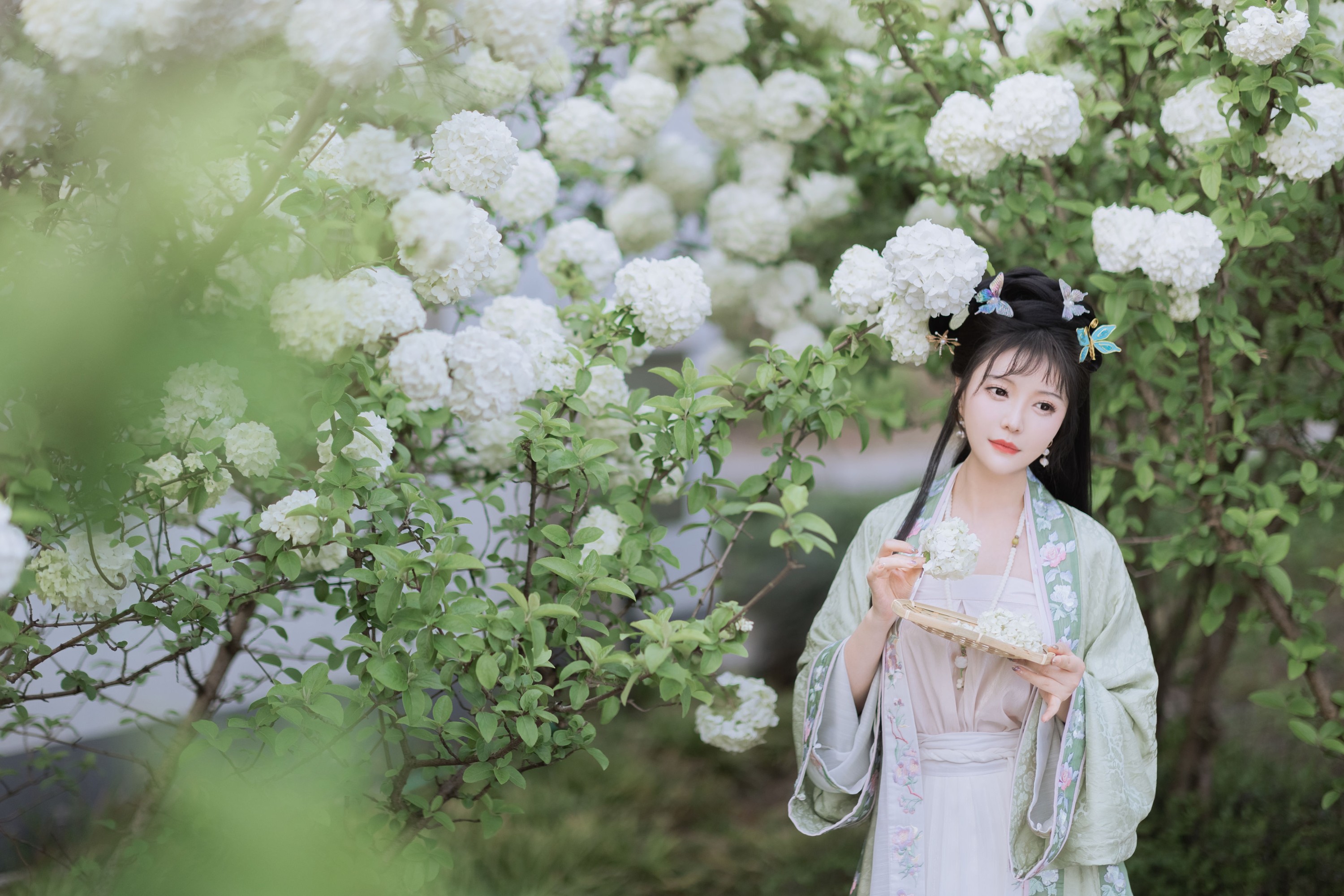 璐璐haley – 《探春》[42P] 插图5