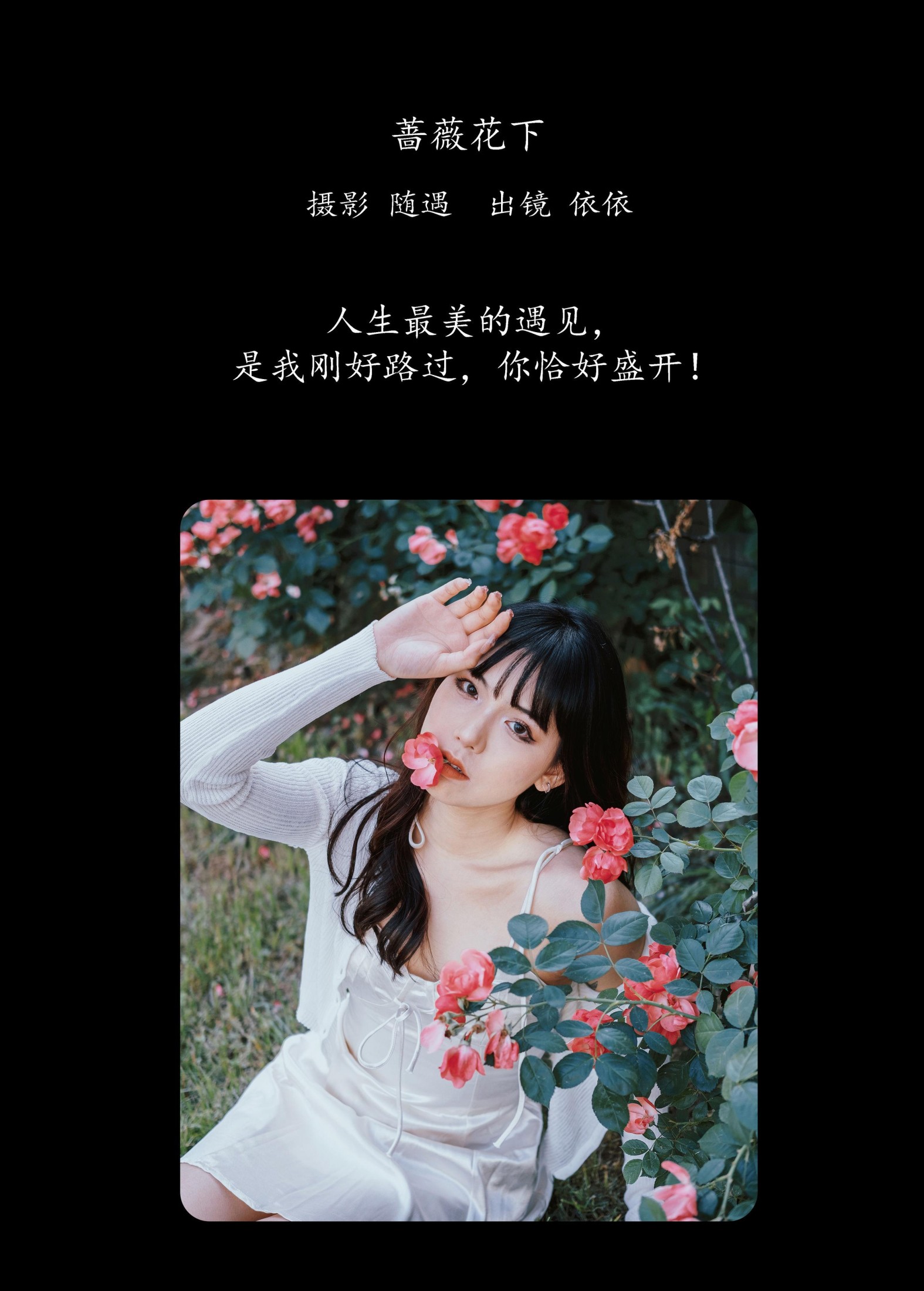 依依 – 《蔷薇花下》[25P] 插图2