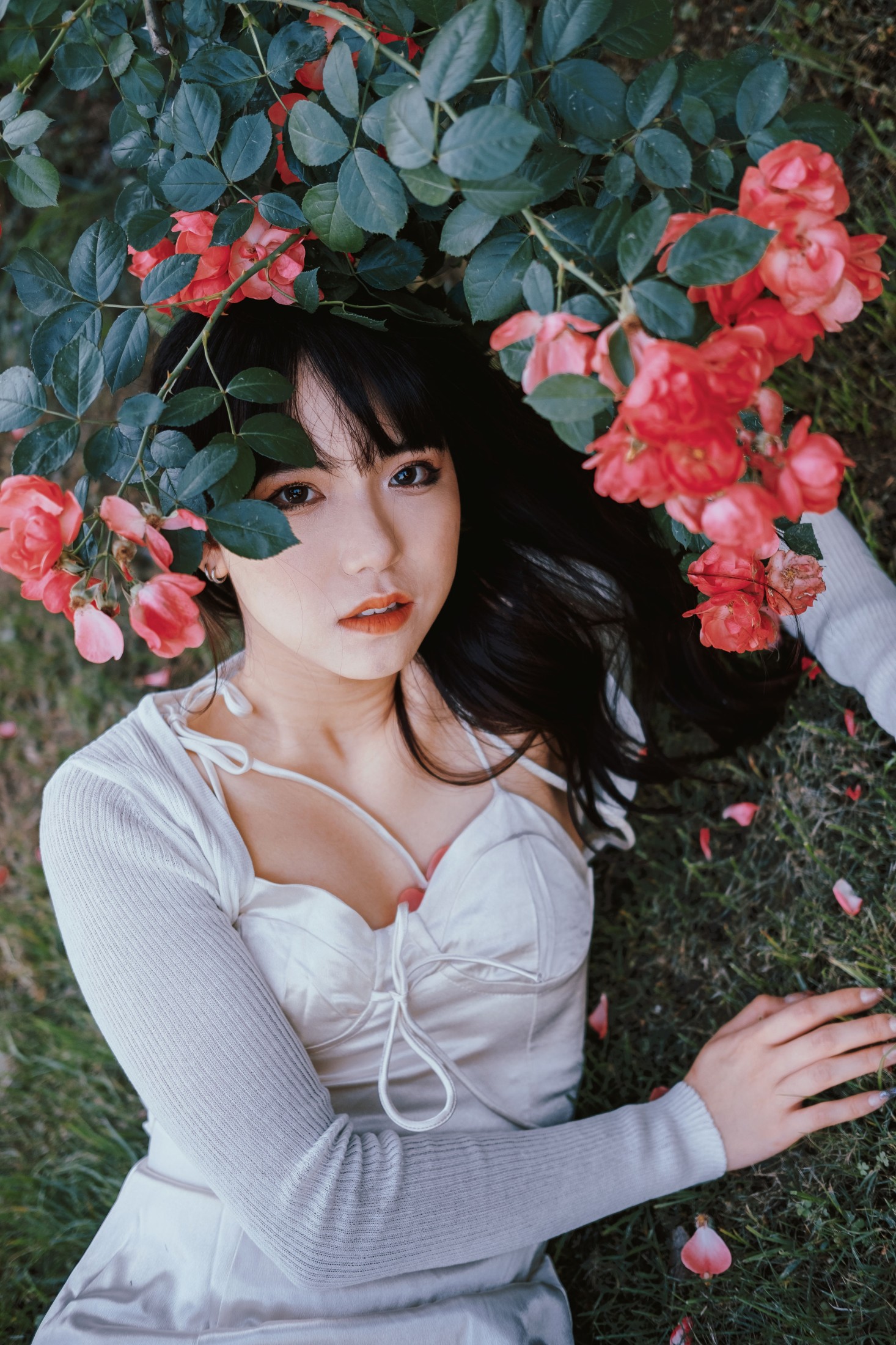 依依 – 《蔷薇花下》[25P] 插图3