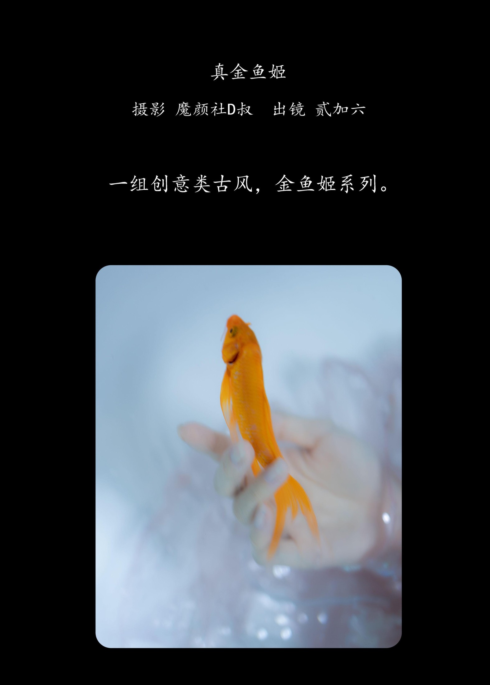 贰加六 – 《真金鱼姬》[28P] 插图2